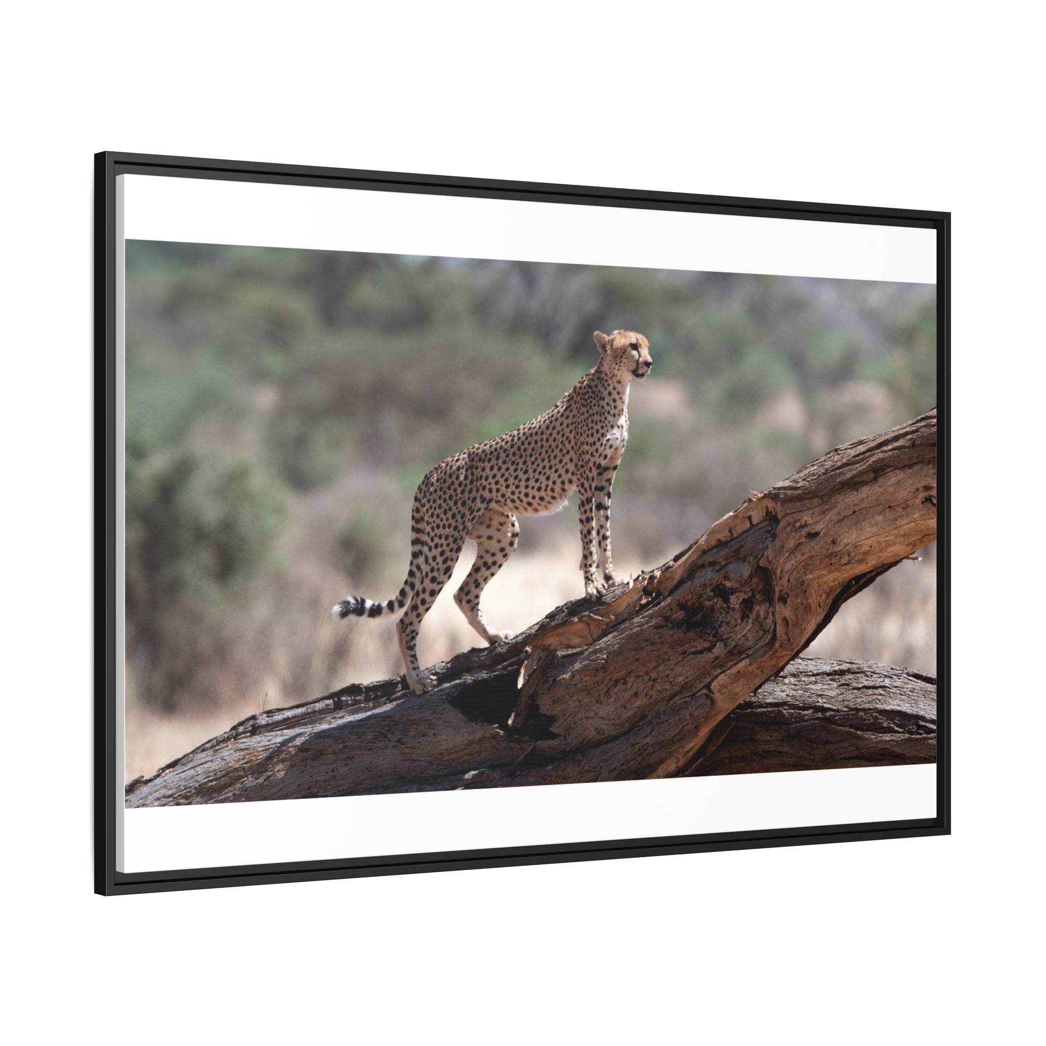 Painting Cheetah Matte Canvas, Framed (Multi-color)