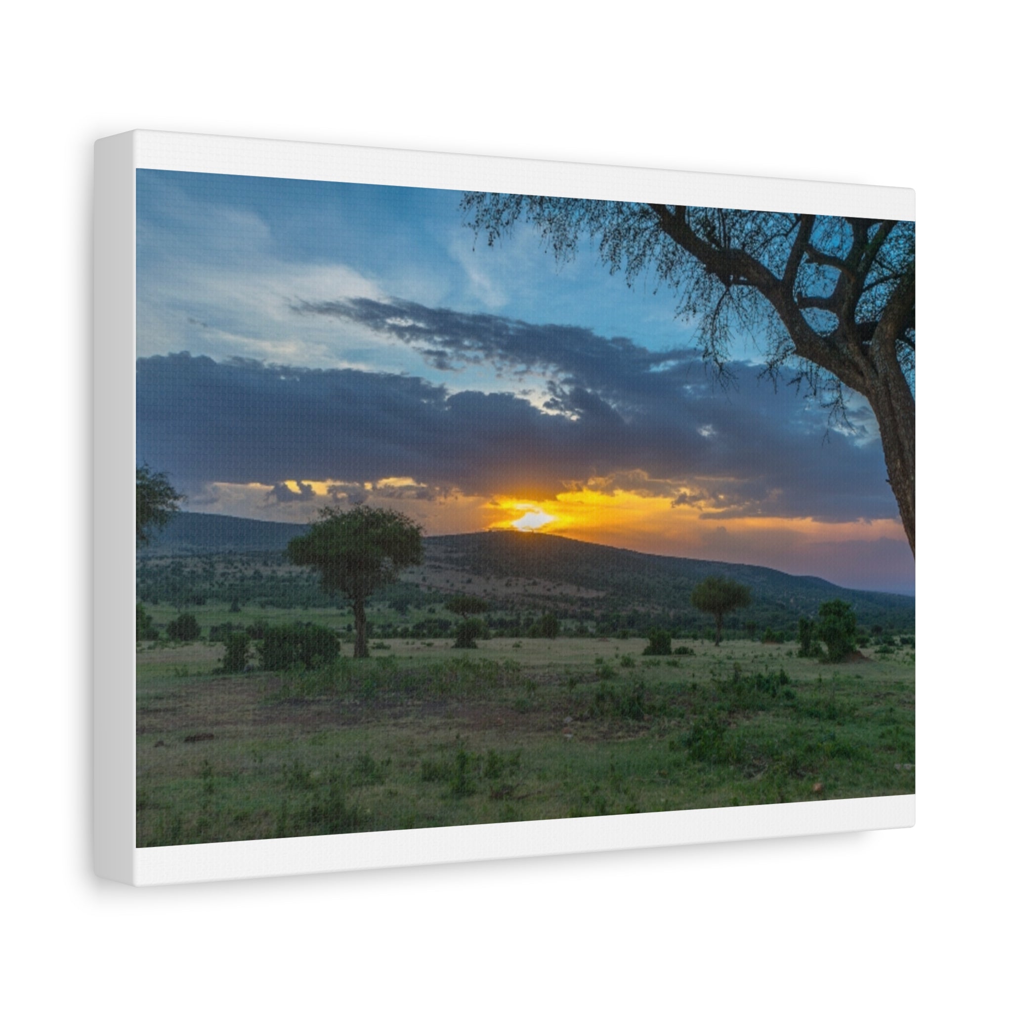 Matte Canvas, Stretched, 1.25"