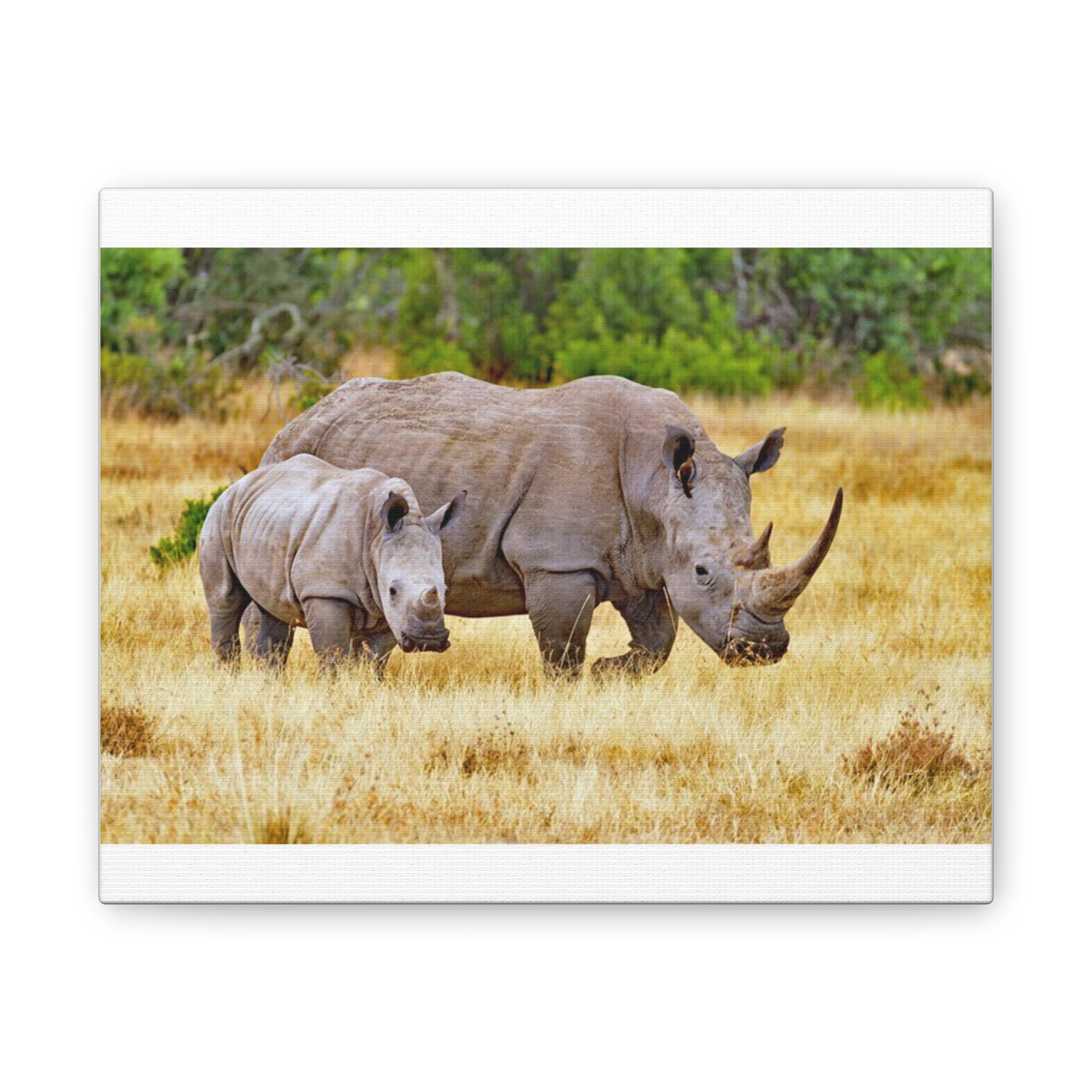 Painting Africa Rhino Canvas Stretched, 0.75"