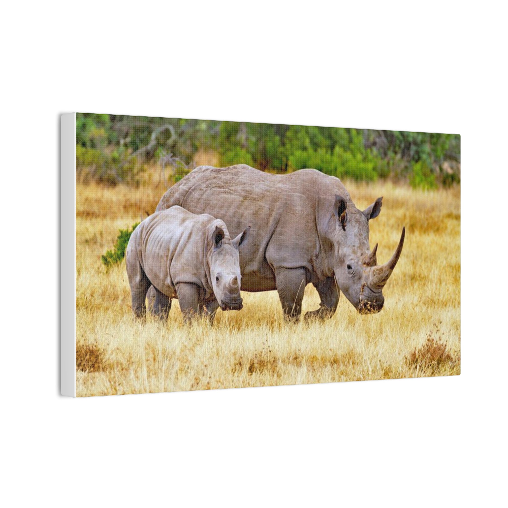 Painting Africa Rhino Canvas Stretched, 0.75"