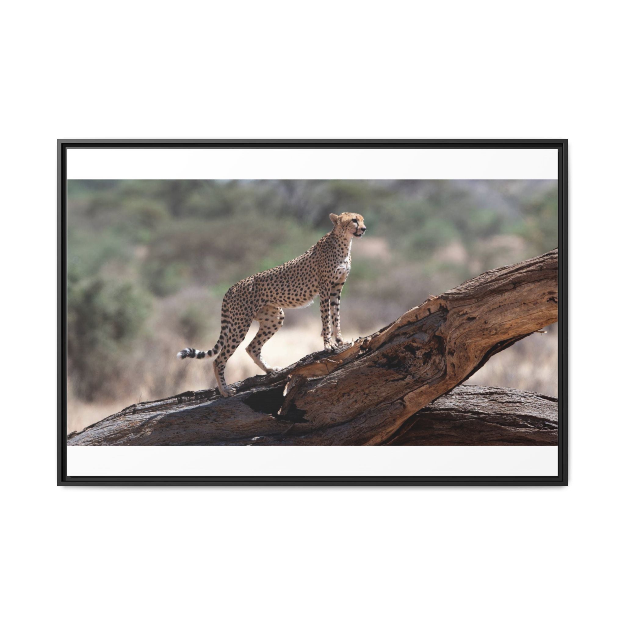 Painting Cheetah Matte Canvas, Framed (Multi-color)