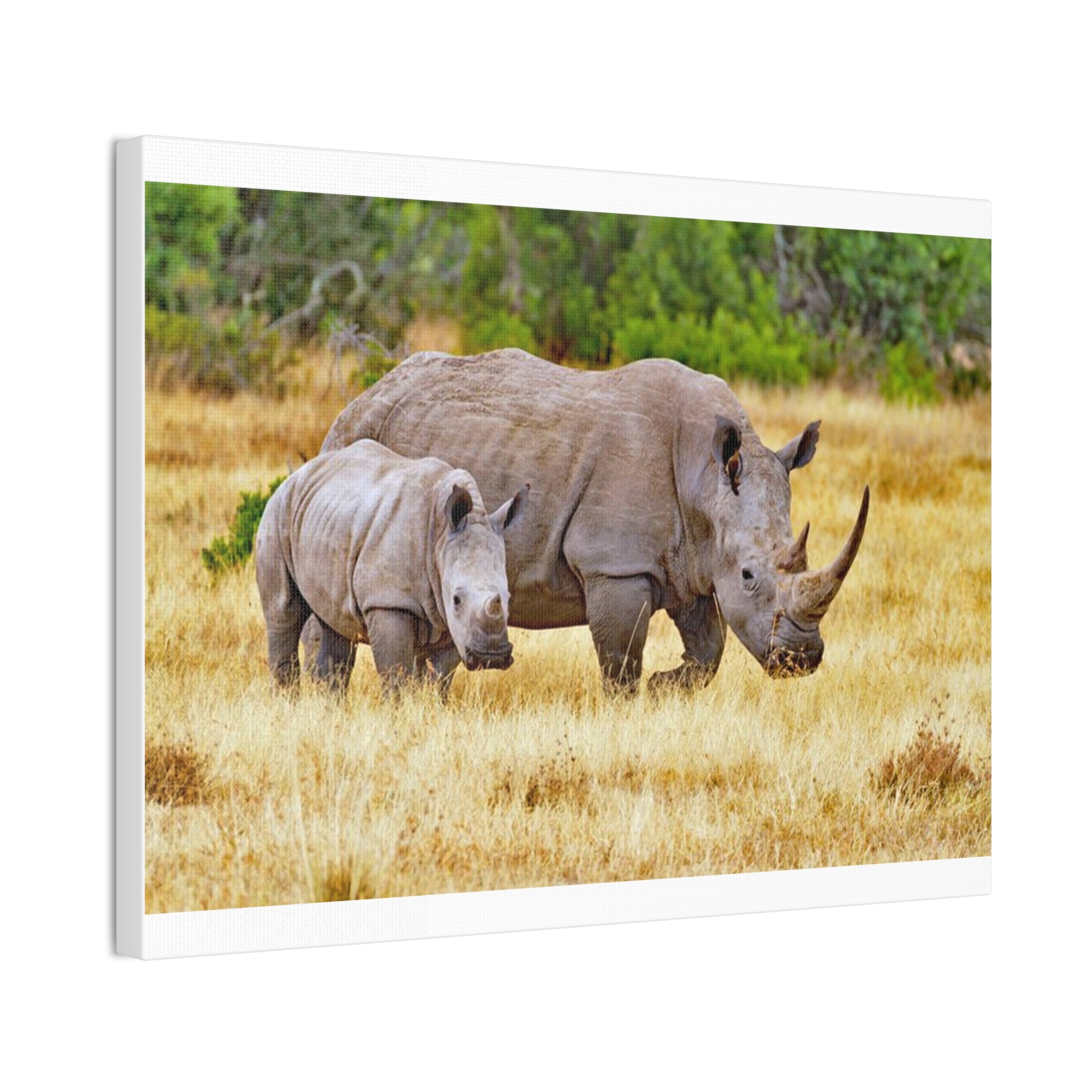 Painting Africa Rhino Canvas Stretched, 0.75"
