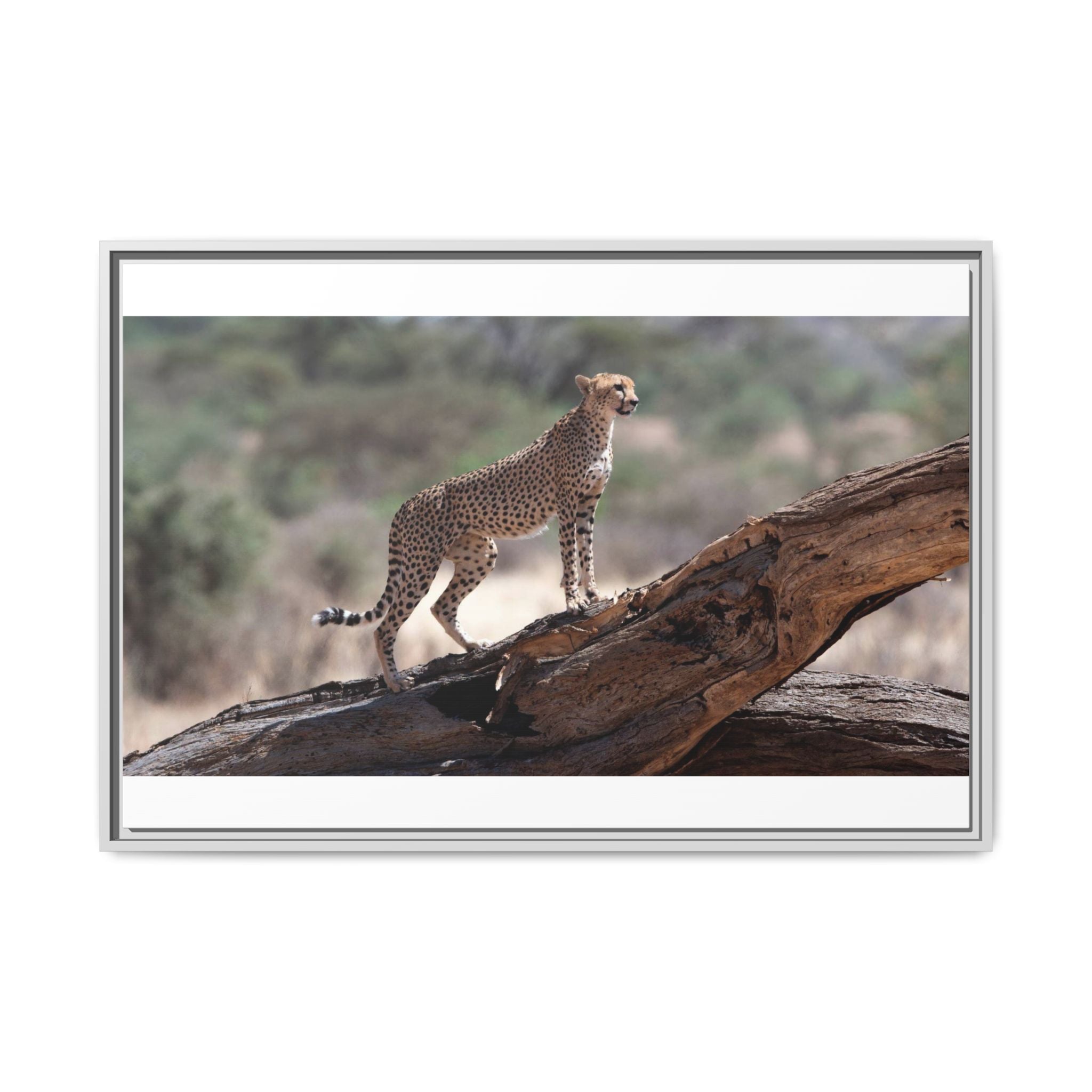 Painting Cheetah Matte Canvas, Framed (Multi-color)