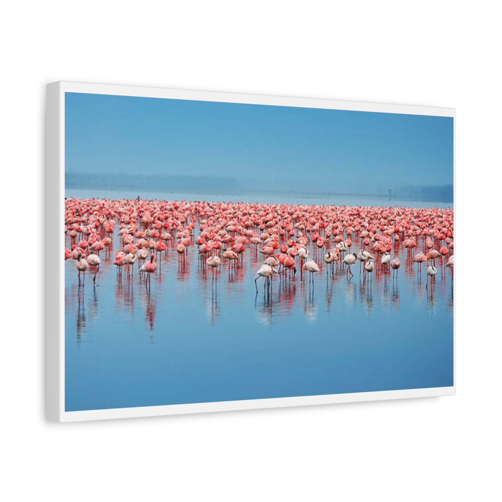 Painting Africa Flamingos Matte Canvas, Stretched, 1.25"
