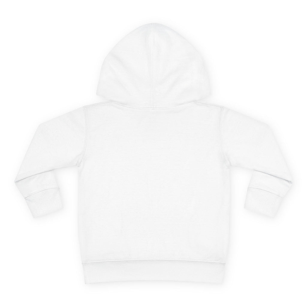 Raila Jakom 2 Toddler Pullover Fleece Hoodie