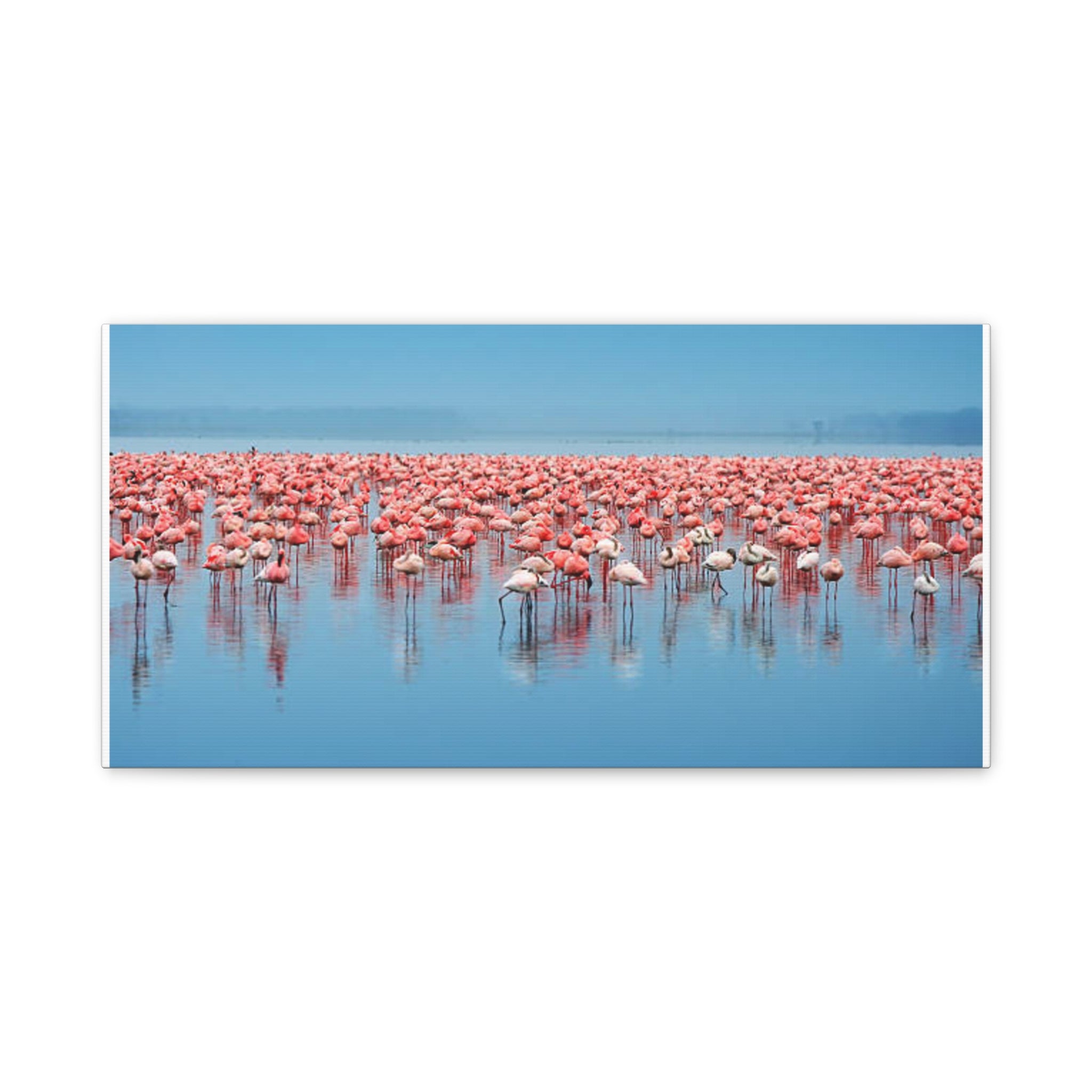 Painting Africa Flamingos Matte Canvas, Stretched, 1.25"