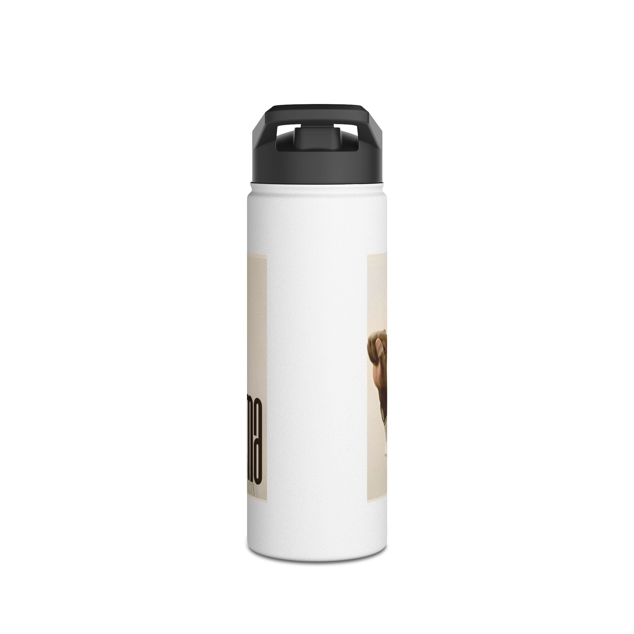 Raila Enigma 1 Stainless Stl Water Bottle, Standard Lid