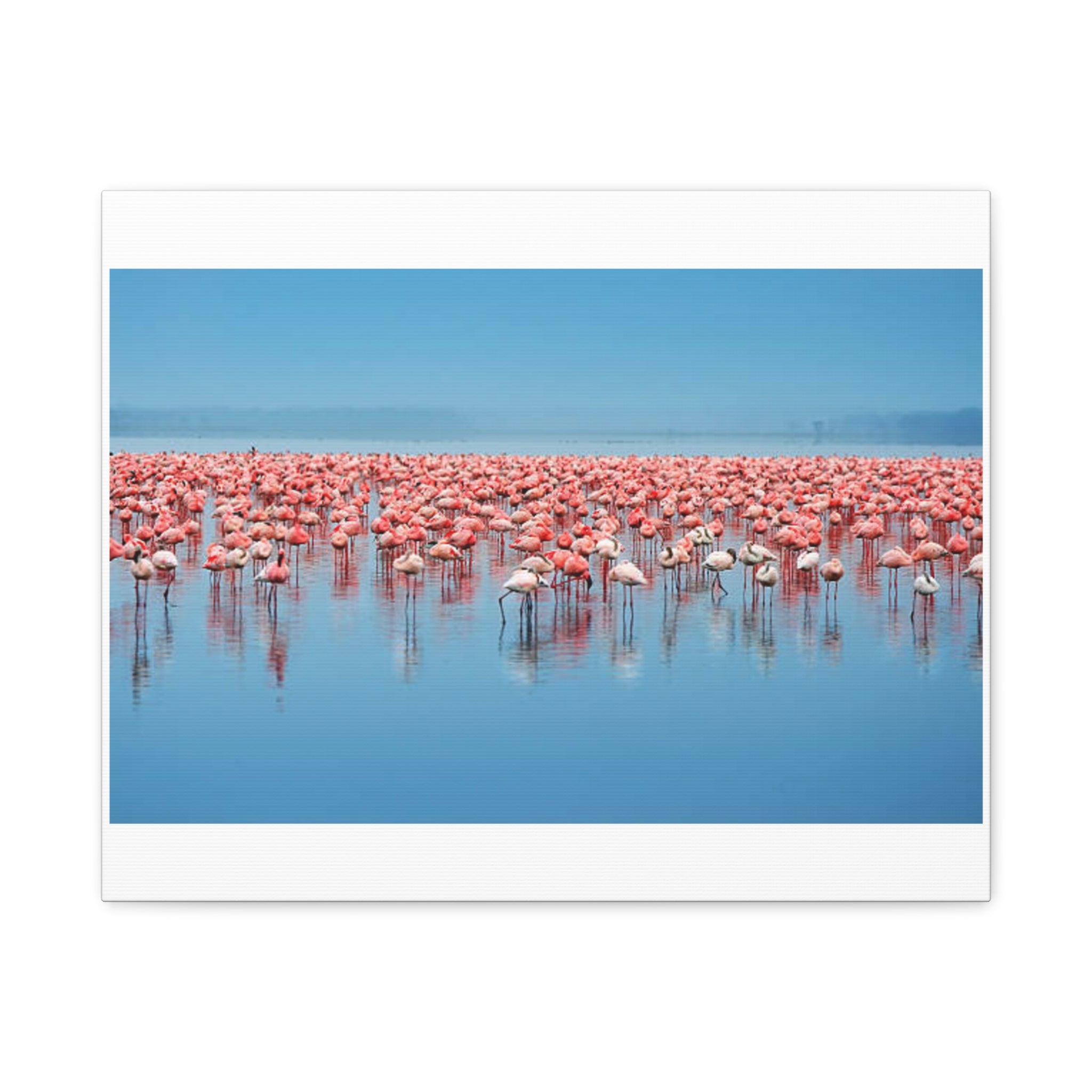 Painting Africa Flamingos Matte Canvas, Stretched, 1.25"