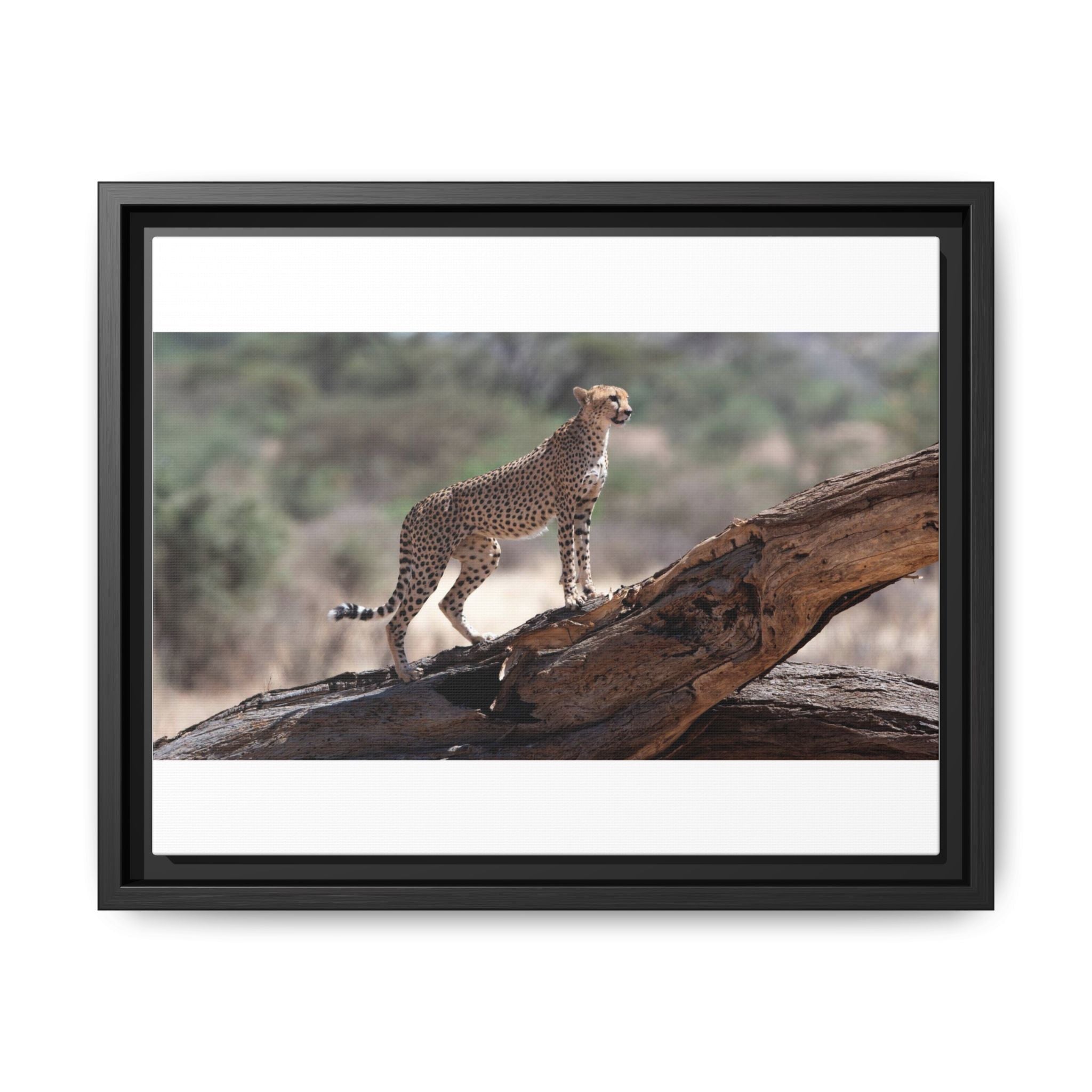 Painting Cheetah Matte Canvas, Framed (Multi-color)