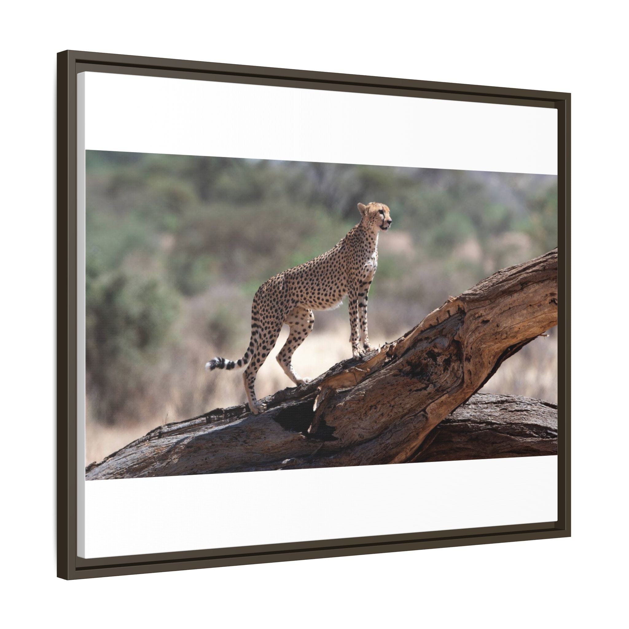 Painting Cheetah Matte Canvas, Framed (Multi-color)