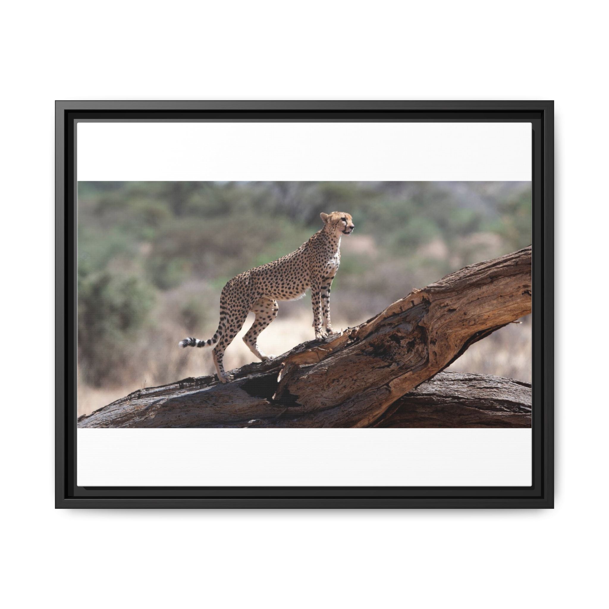 Painting Cheetah Matte Canvas, Framed (Multi-color)