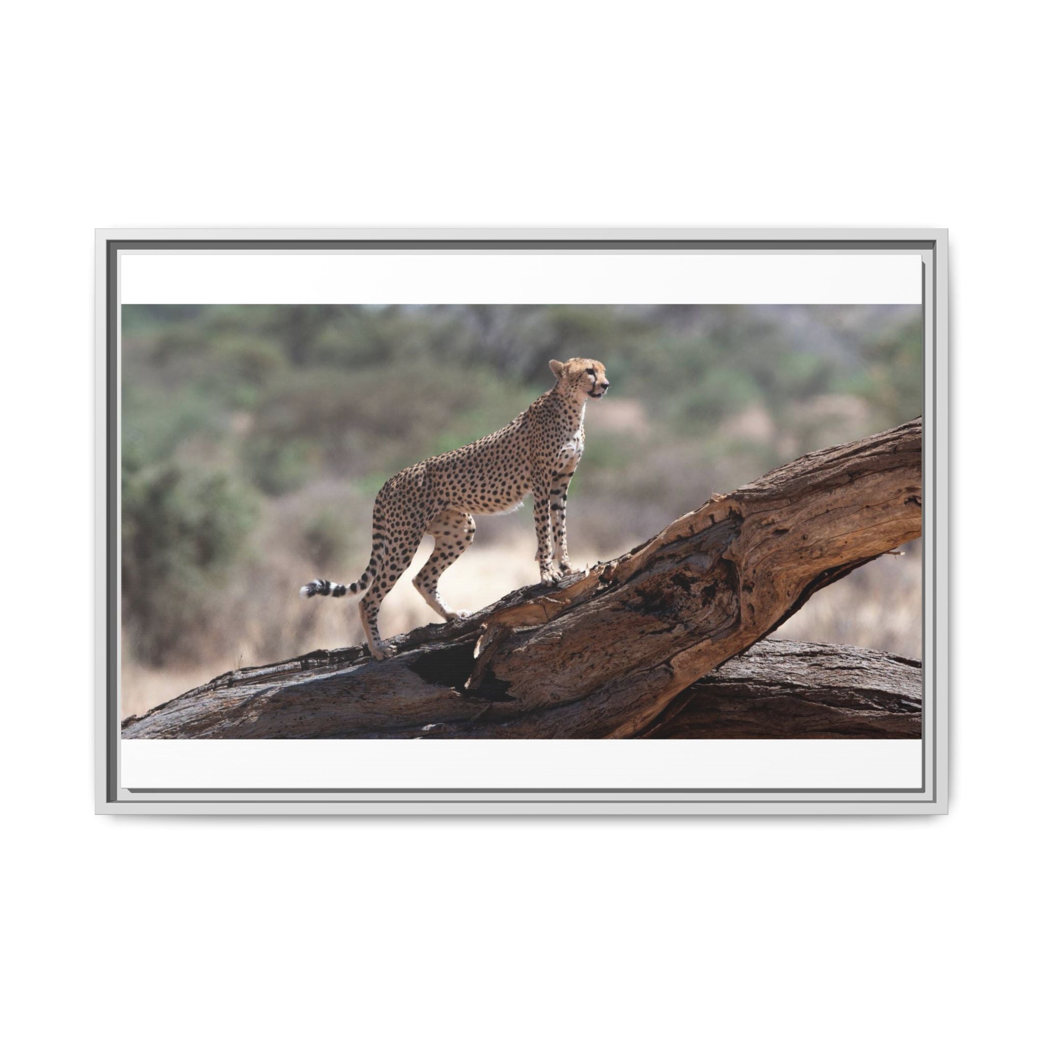 Painting Cheetah Matte Canvas, Framed (Multi-color)