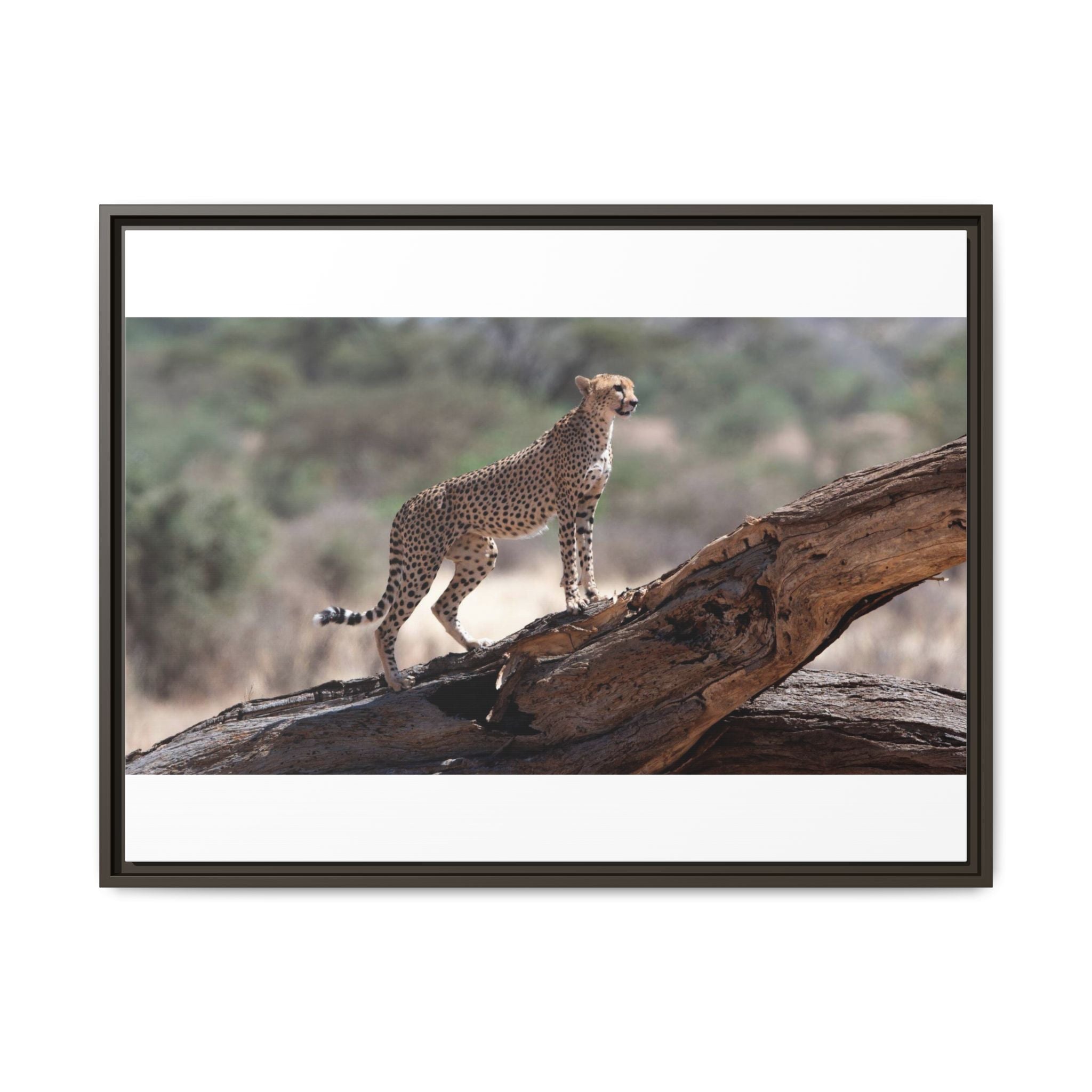Painting Cheetah Matte Canvas, Framed (Multi-color)