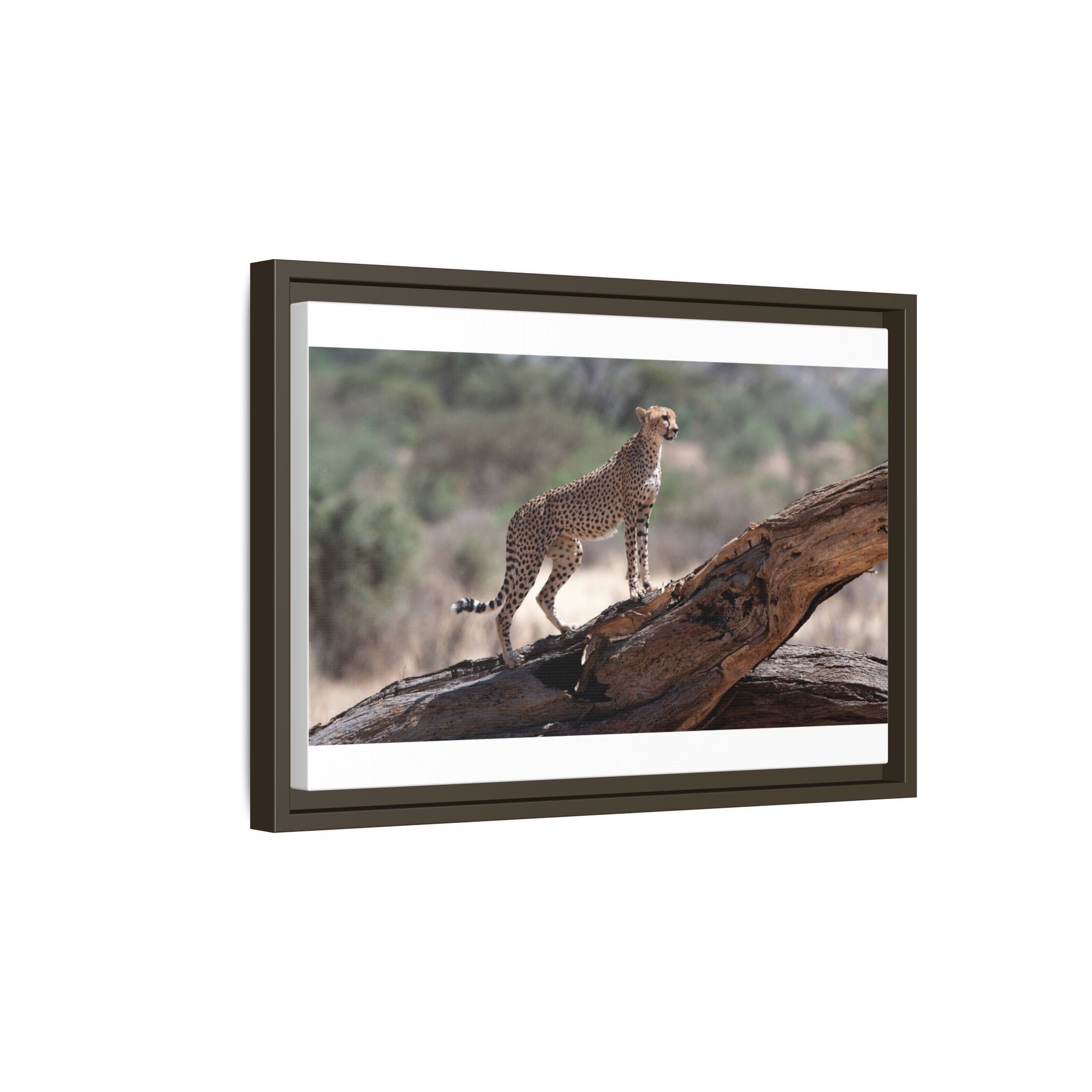 Painting Cheetah Matte Canvas, Framed (Multi-color)