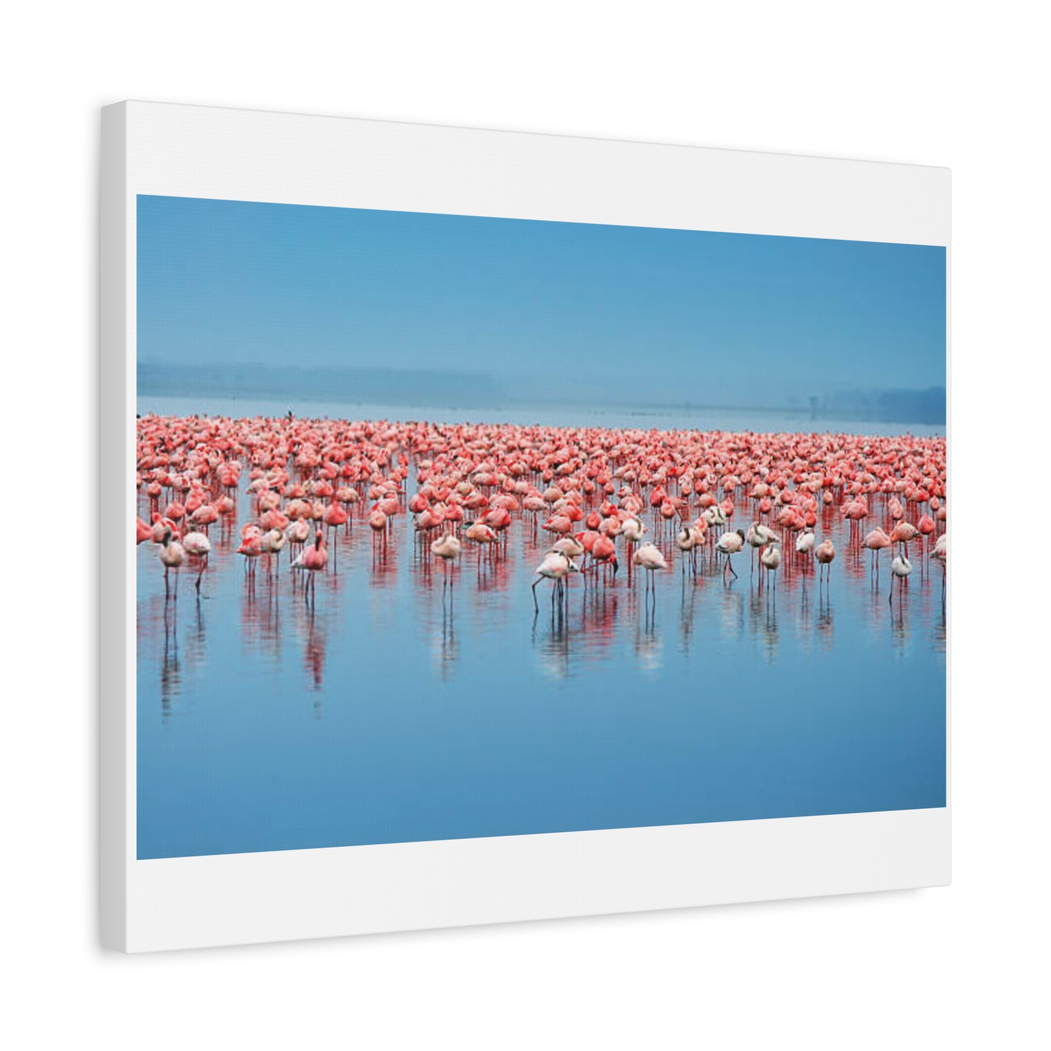 Painting Africa Flamingos Matte Canvas, Stretched, 1.25"