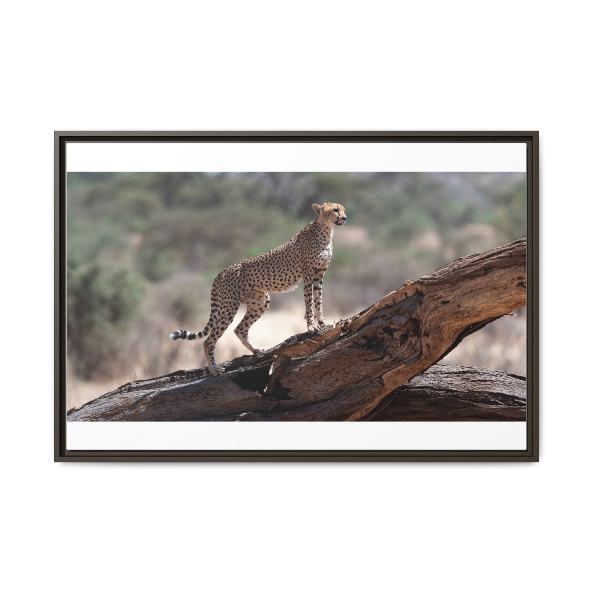 Painting Cheetah Matte Canvas, Framed (Multi-color)