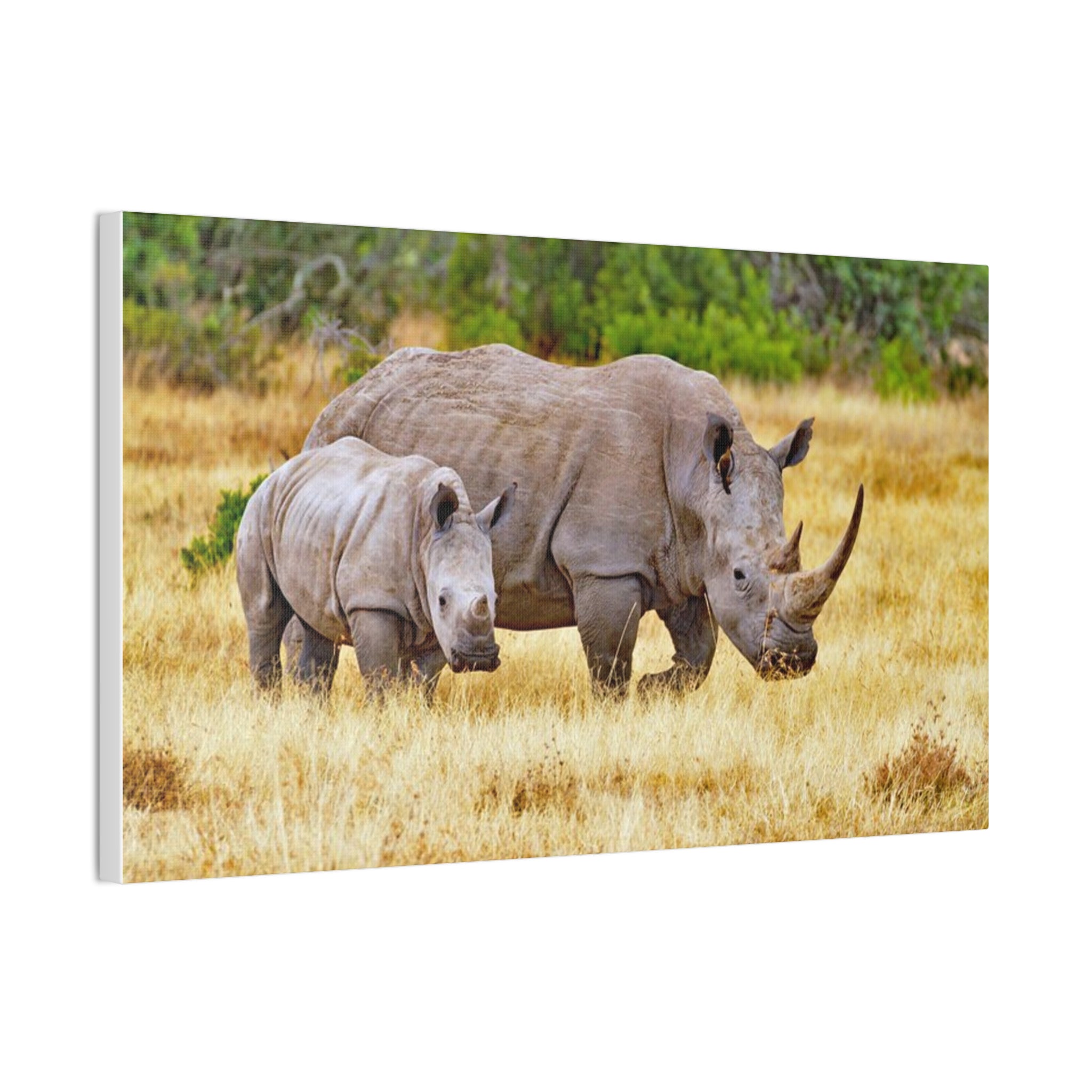 Painting Africa Rhino Canvas Stretched, 0.75"
