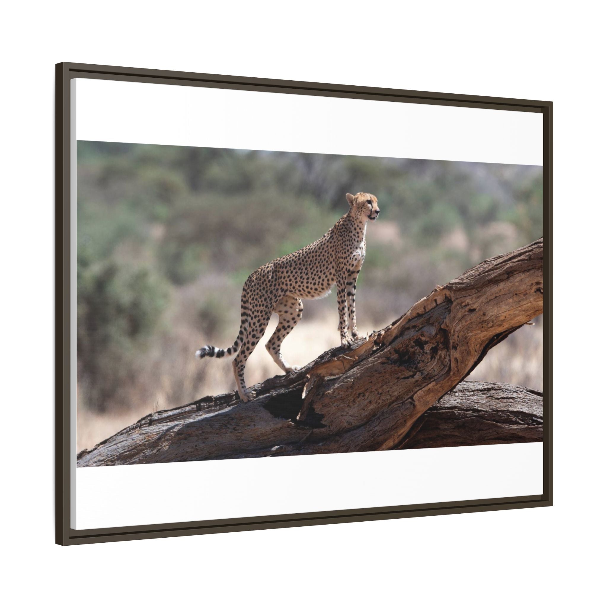 Painting Cheetah Matte Canvas, Framed (Multi-color)