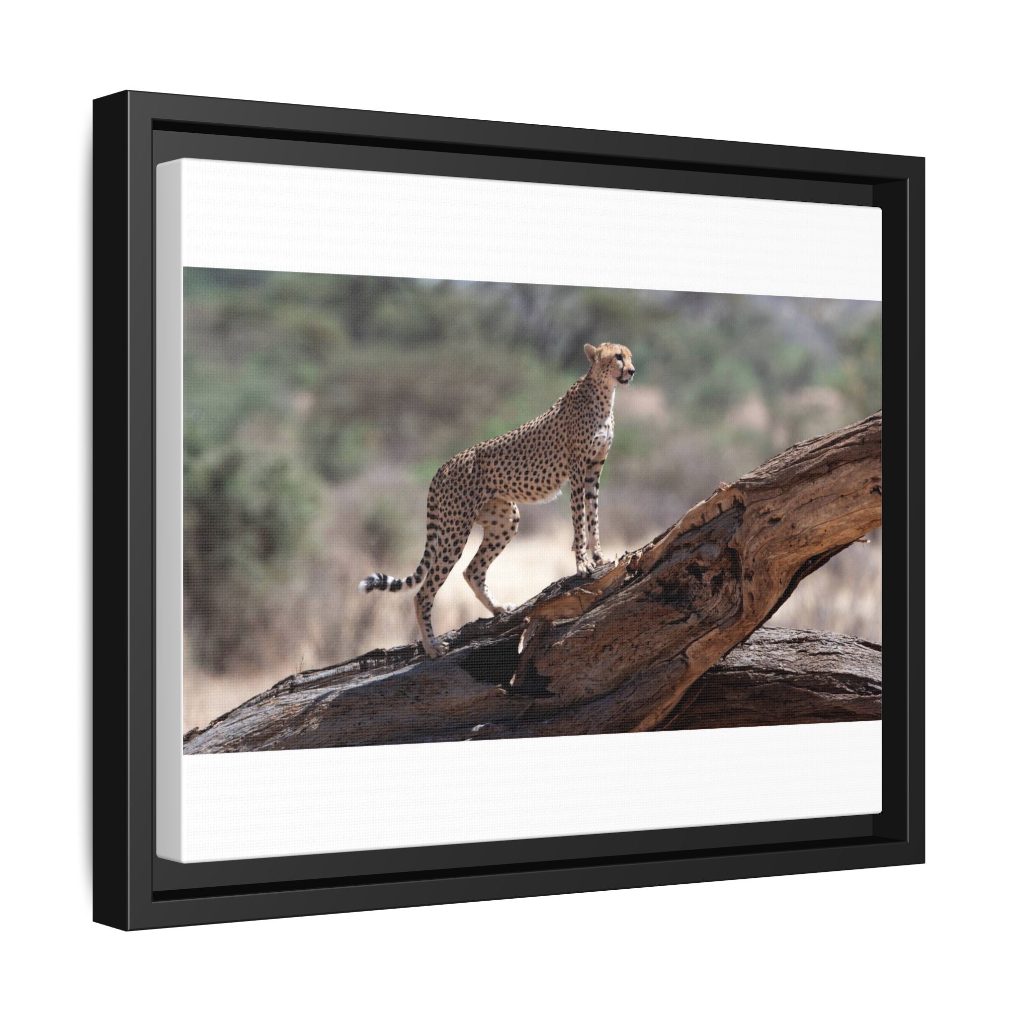 Painting Cheetah Matte Canvas, Framed (Multi-color)
