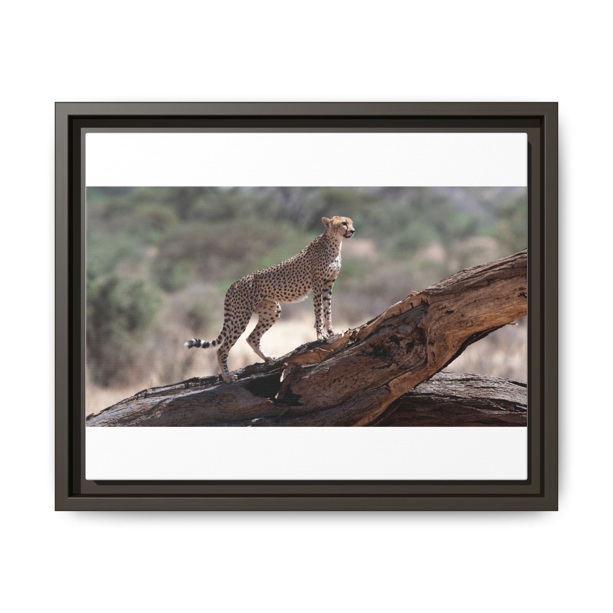Painting Cheetah Matte Canvas, Framed (Multi-color)