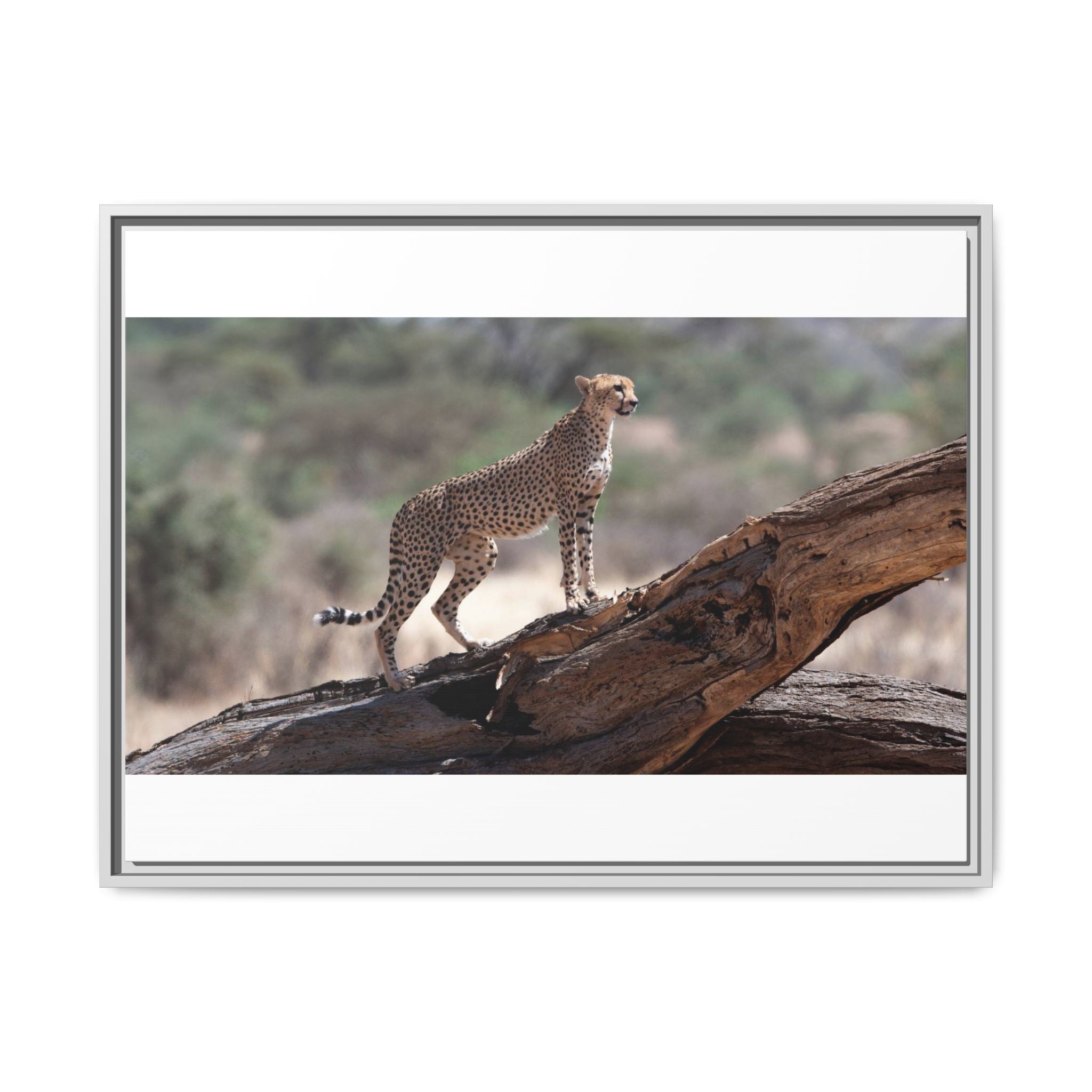 Painting Cheetah Matte Canvas, Framed (Multi-color)