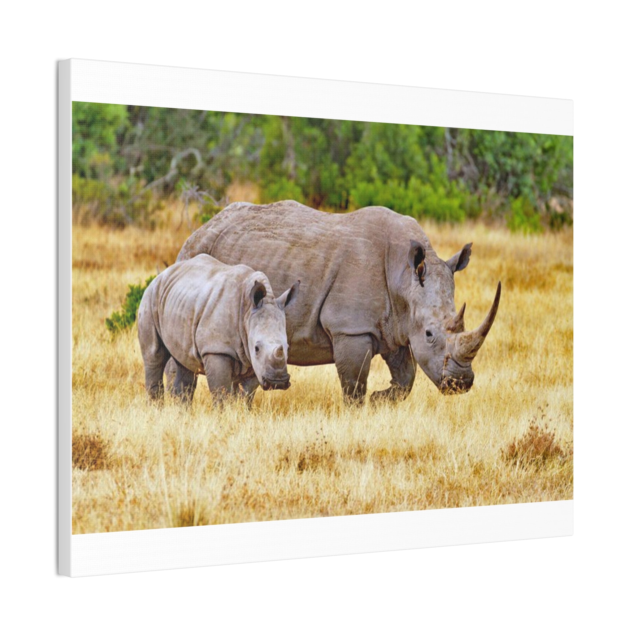 Painting Africa Rhino Canvas Stretched, 0.75"