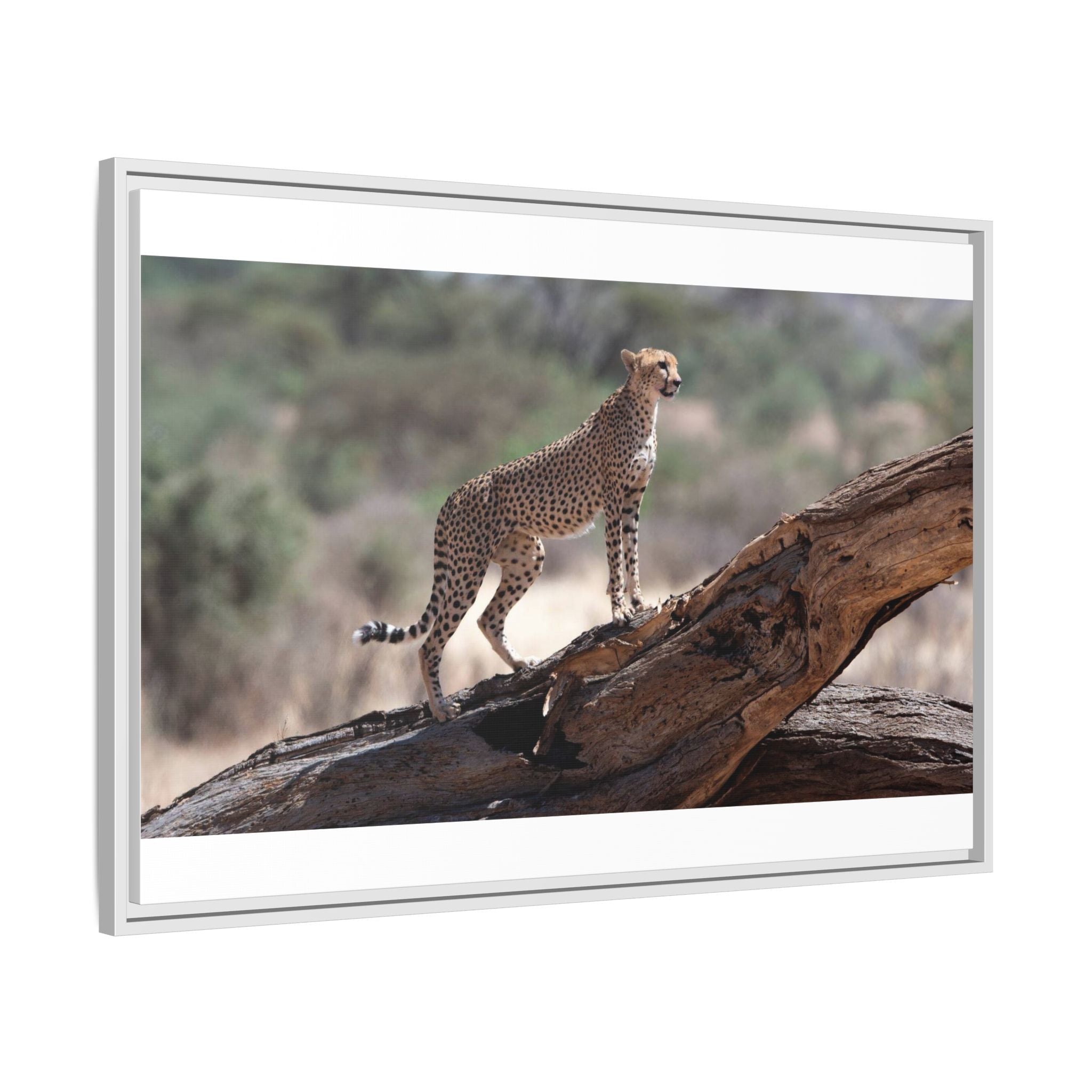 Painting Cheetah Matte Canvas, Framed (Multi-color)