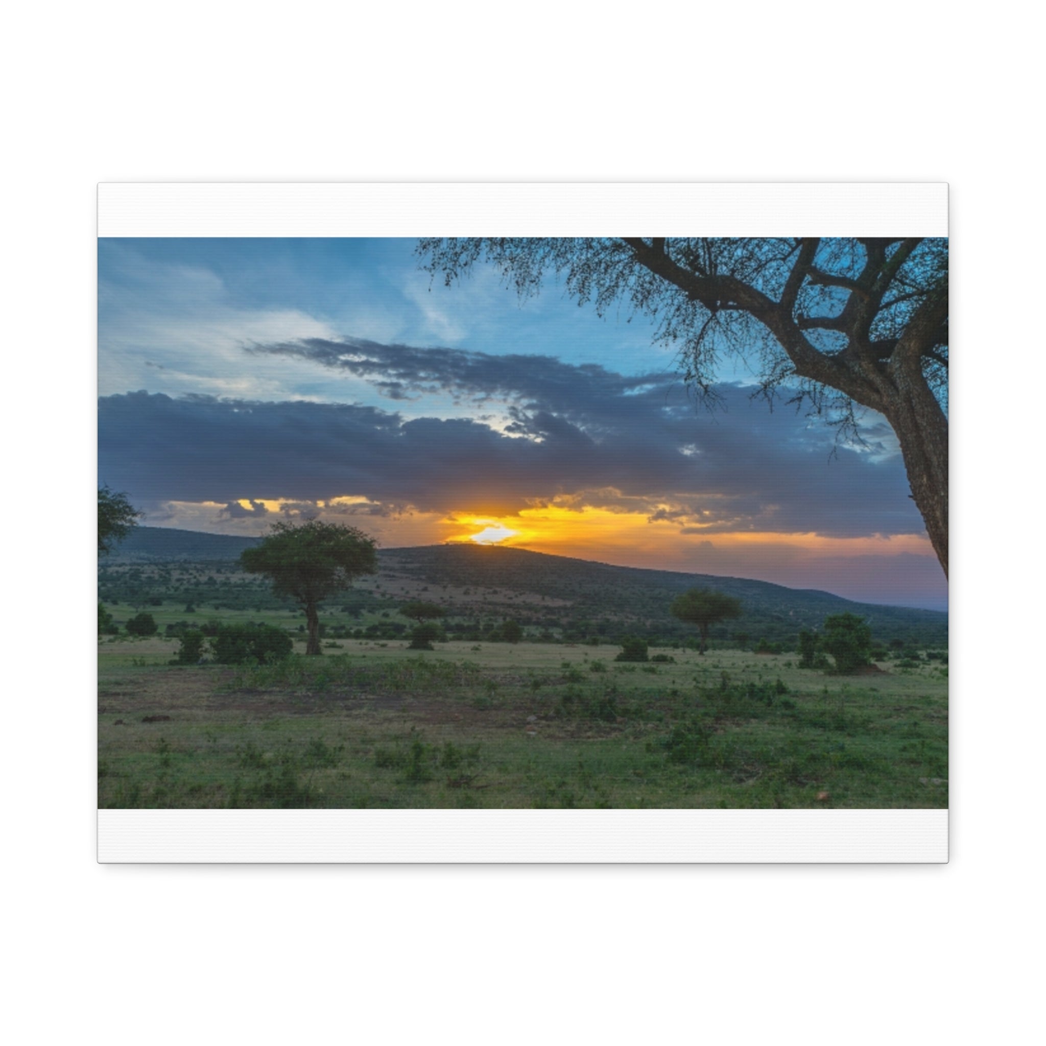 Matte Canvas, Stretched, 1.25"