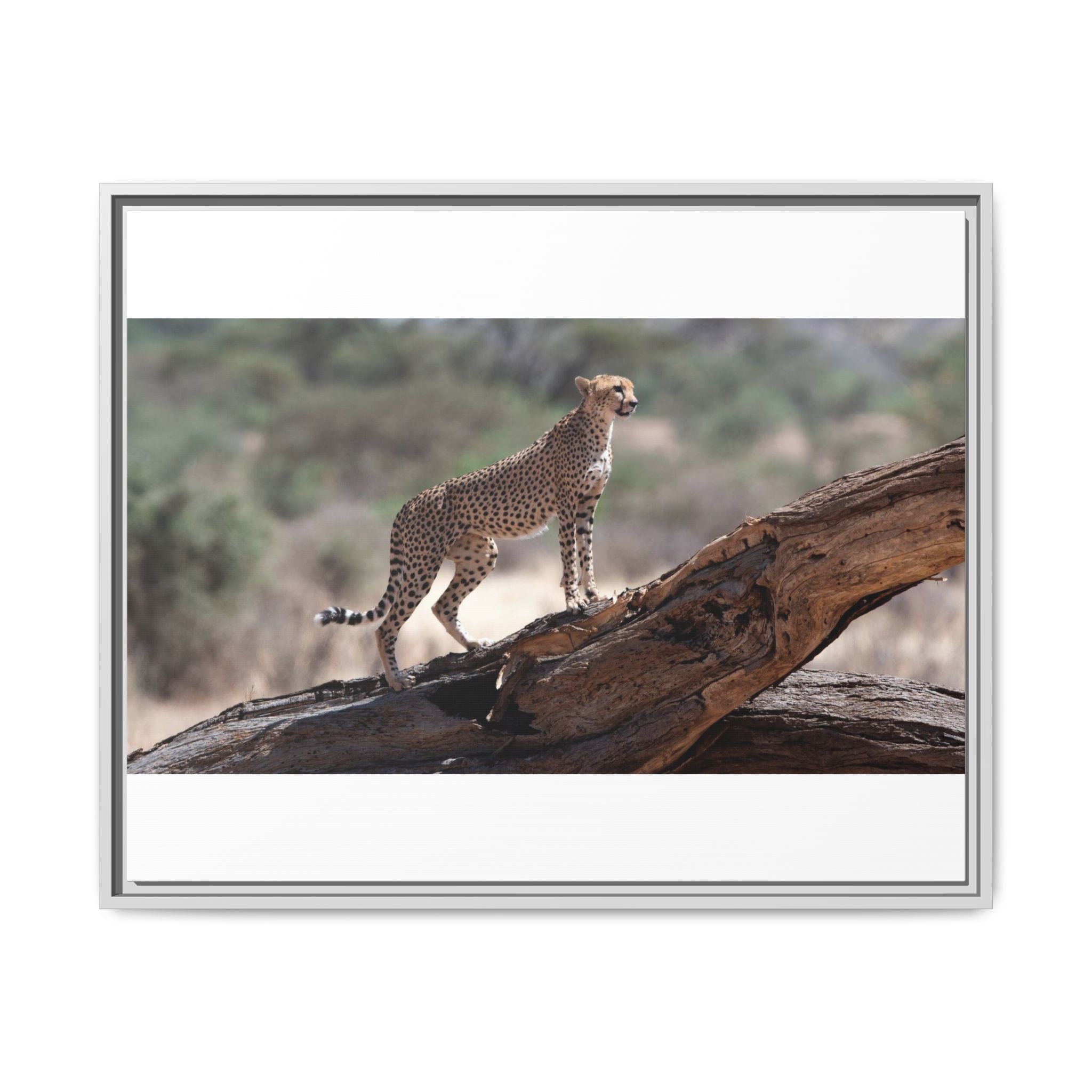 Painting Cheetah Matte Canvas, Framed (Multi-color)