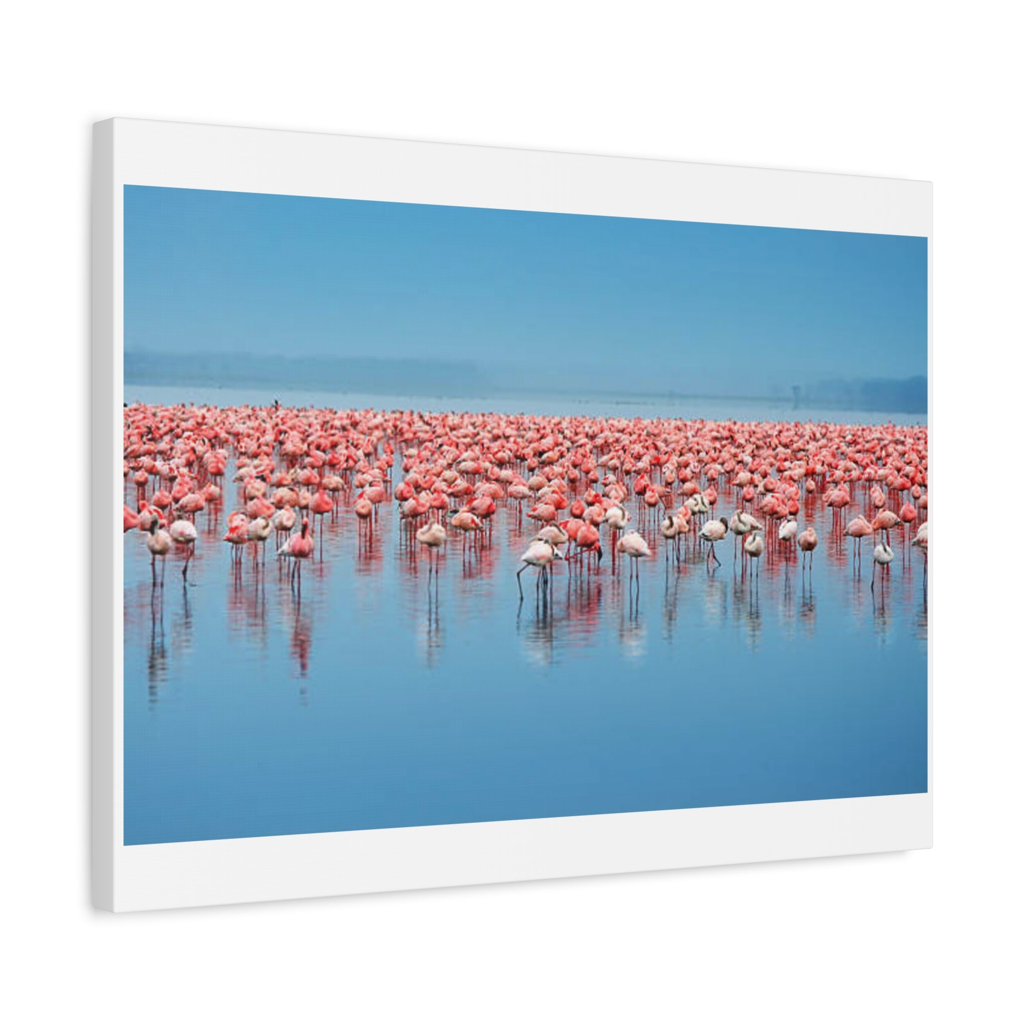 Painting Africa Flamingos Matte Canvas, Stretched, 1.25"