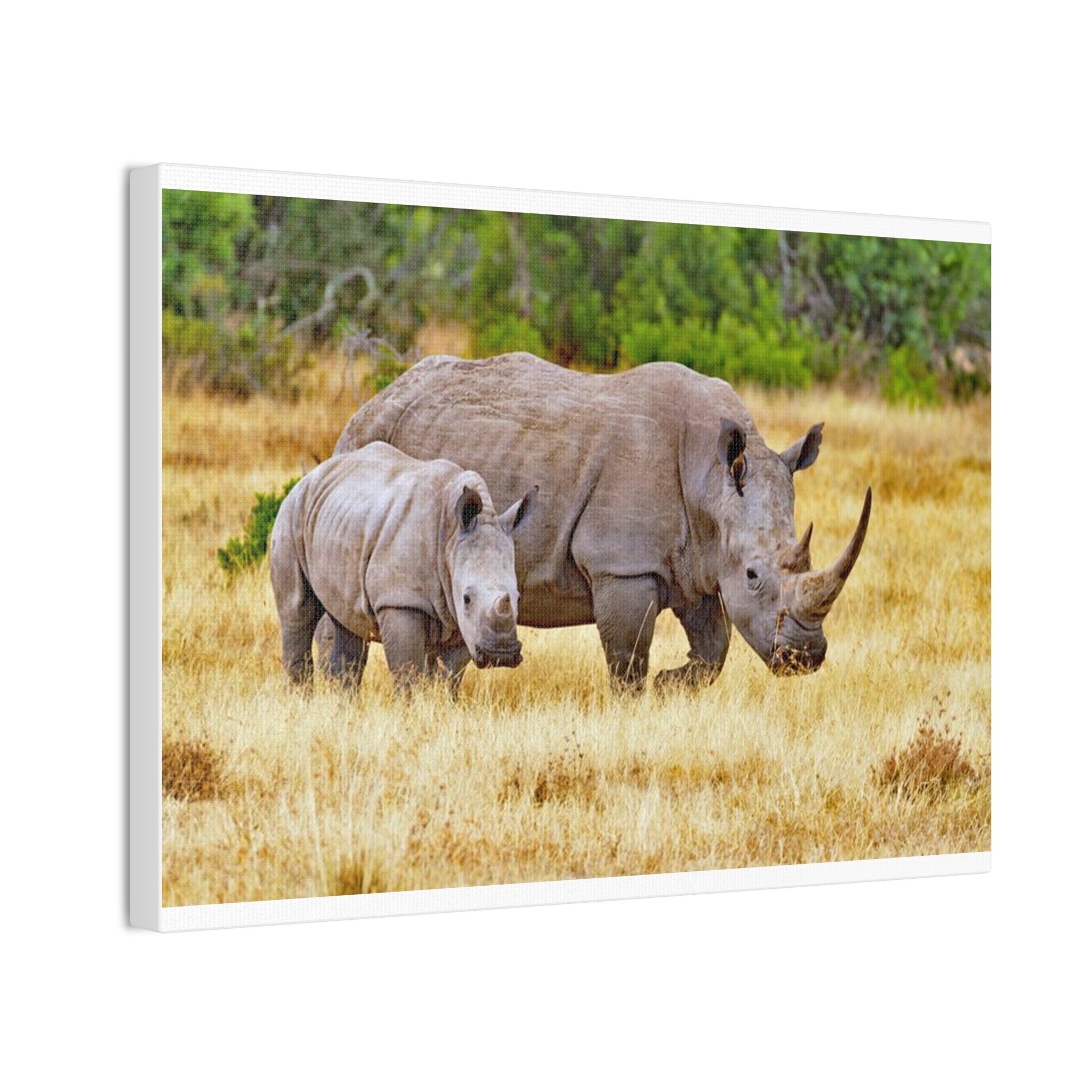 Painting Africa Rhino Canvas Stretched, 0.75"