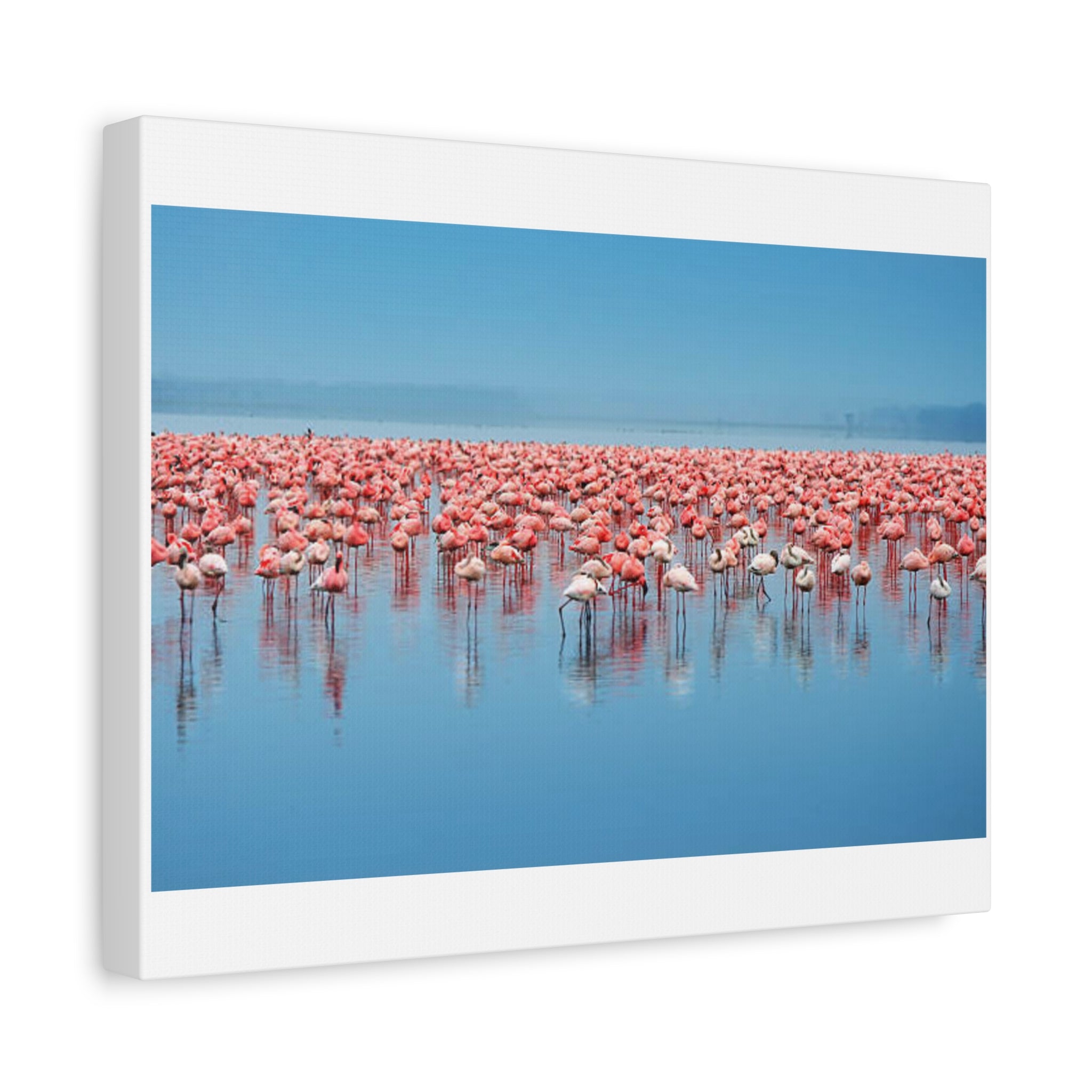 Painting Africa Flamingos Matte Canvas, Stretched, 1.25"