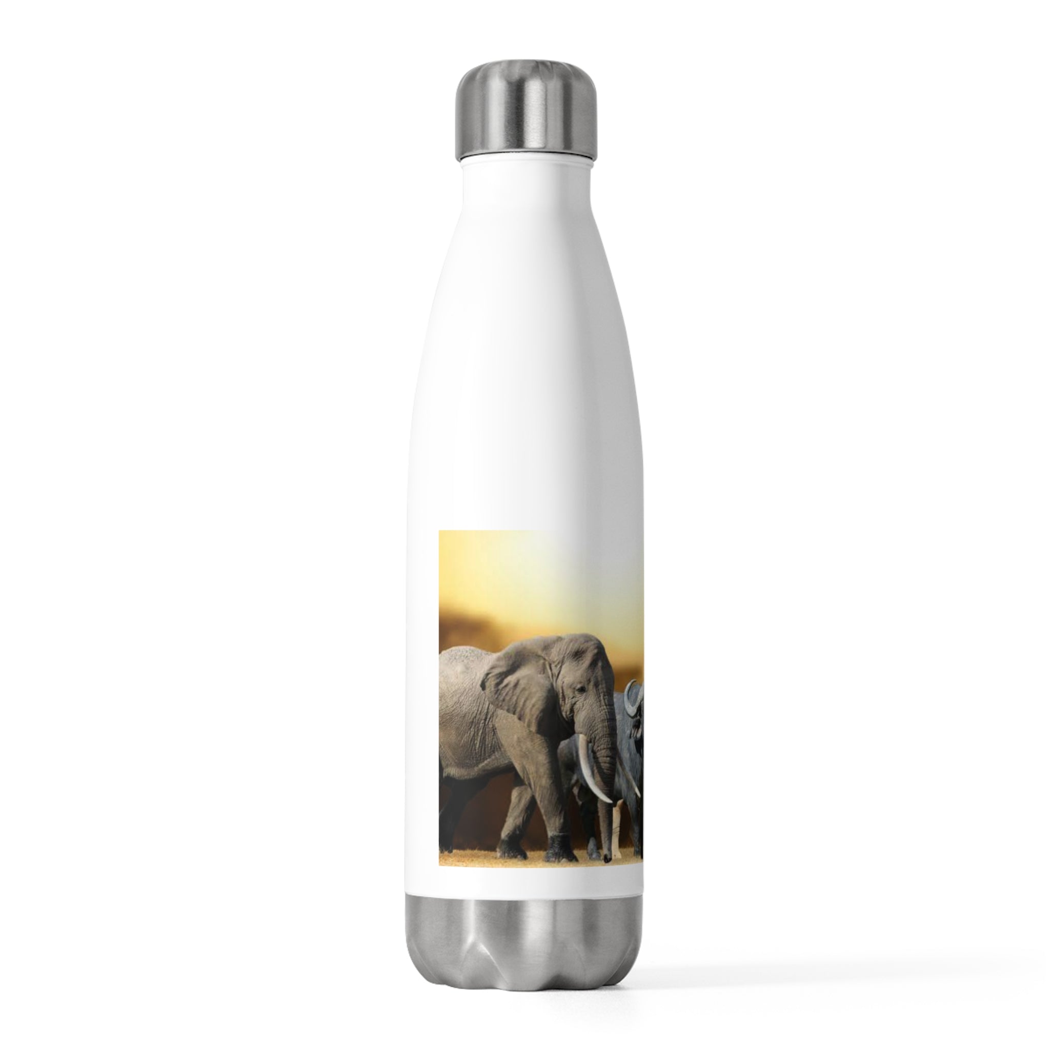 Big 5 Africa 20oz Insulated Bottle