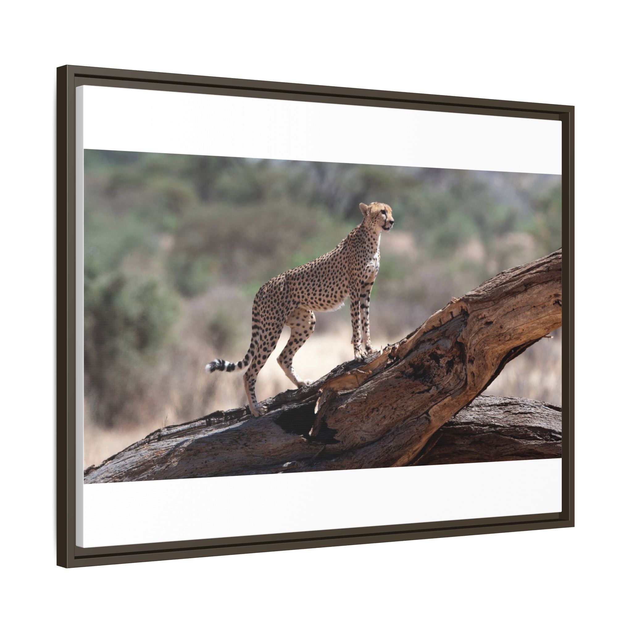 Painting Cheetah Matte Canvas, Framed (Multi-color)