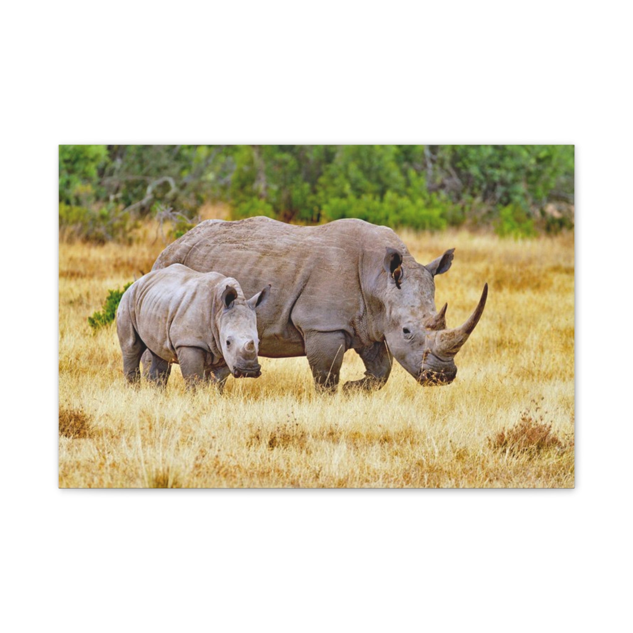 Painting Africa Rhino Canvas Stretched, 0.75"