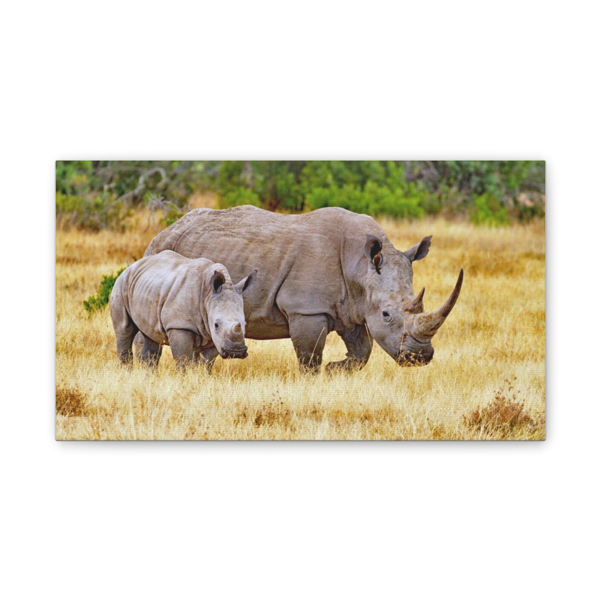 Painting Africa Rhino Canvas Stretched, 0.75"