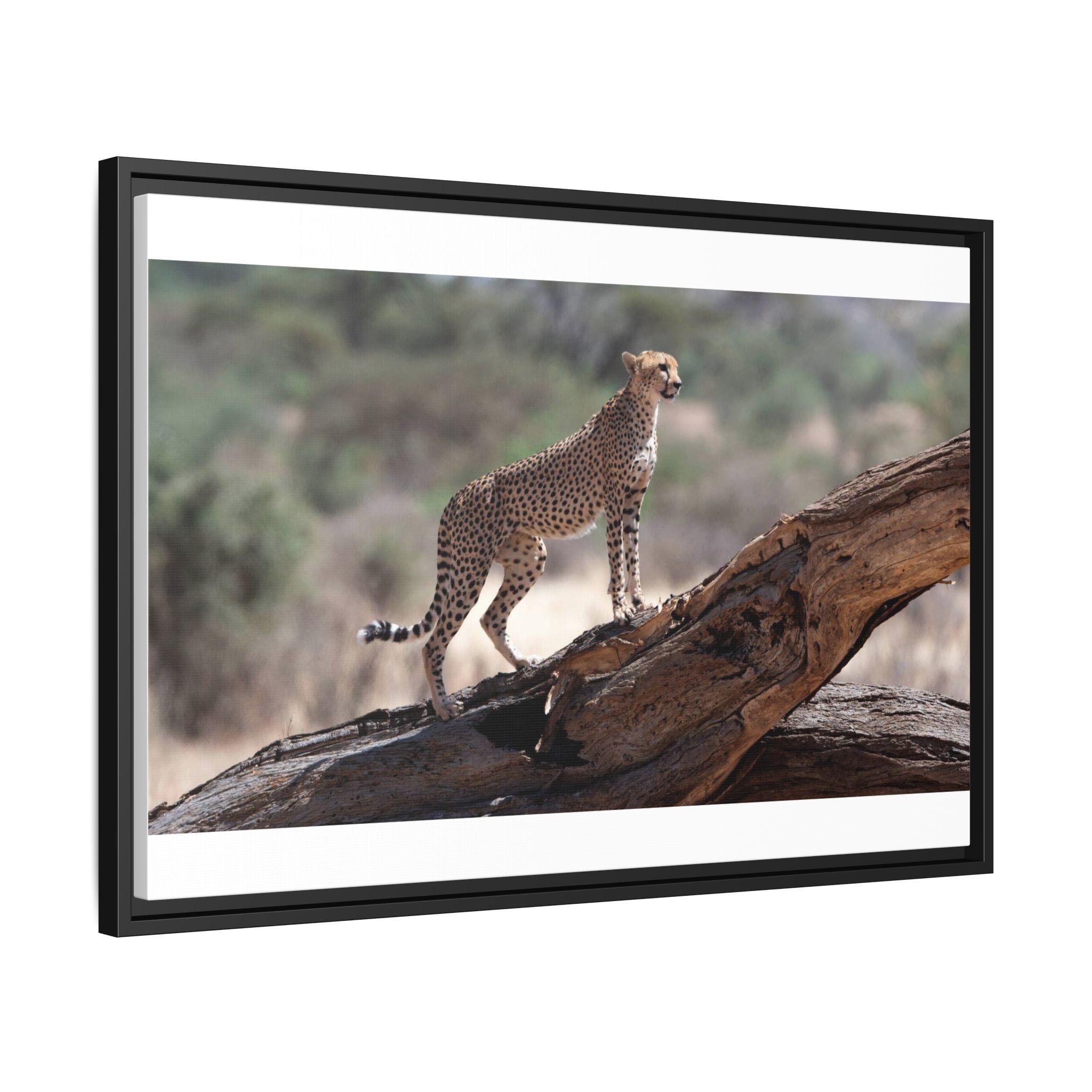 Painting Cheetah Matte Canvas, Framed (Multi-color)