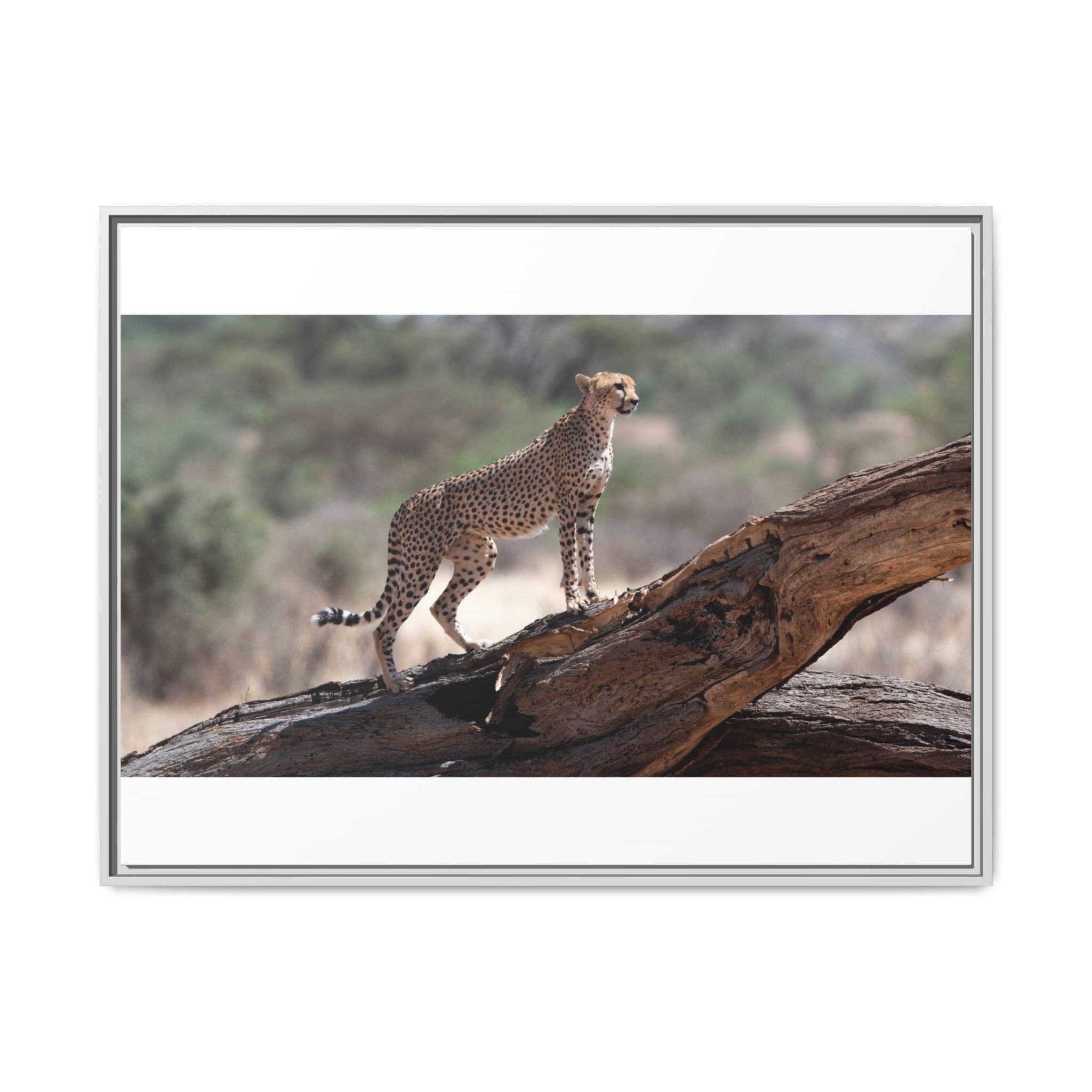 Painting Cheetah Matte Canvas, Framed (Multi-color)
