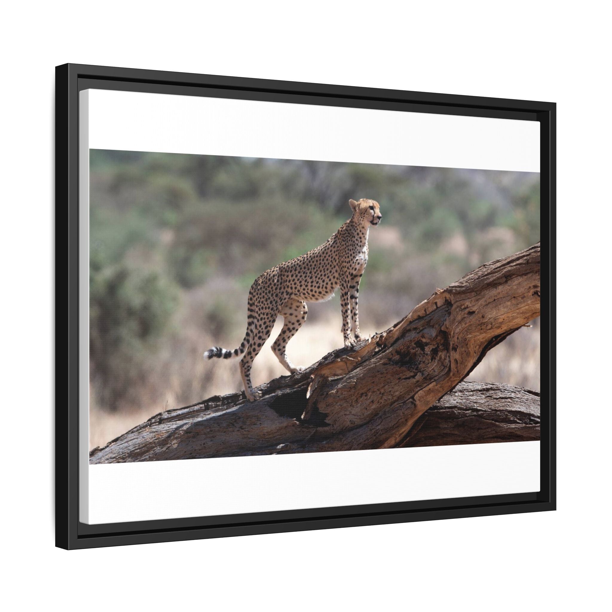 Painting Cheetah Matte Canvas, Framed (Multi-color)