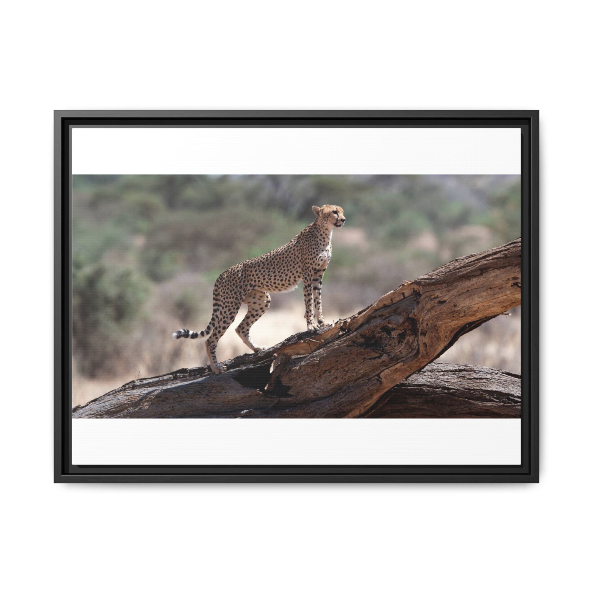 Painting Cheetah Matte Canvas, Framed (Multi-color)
