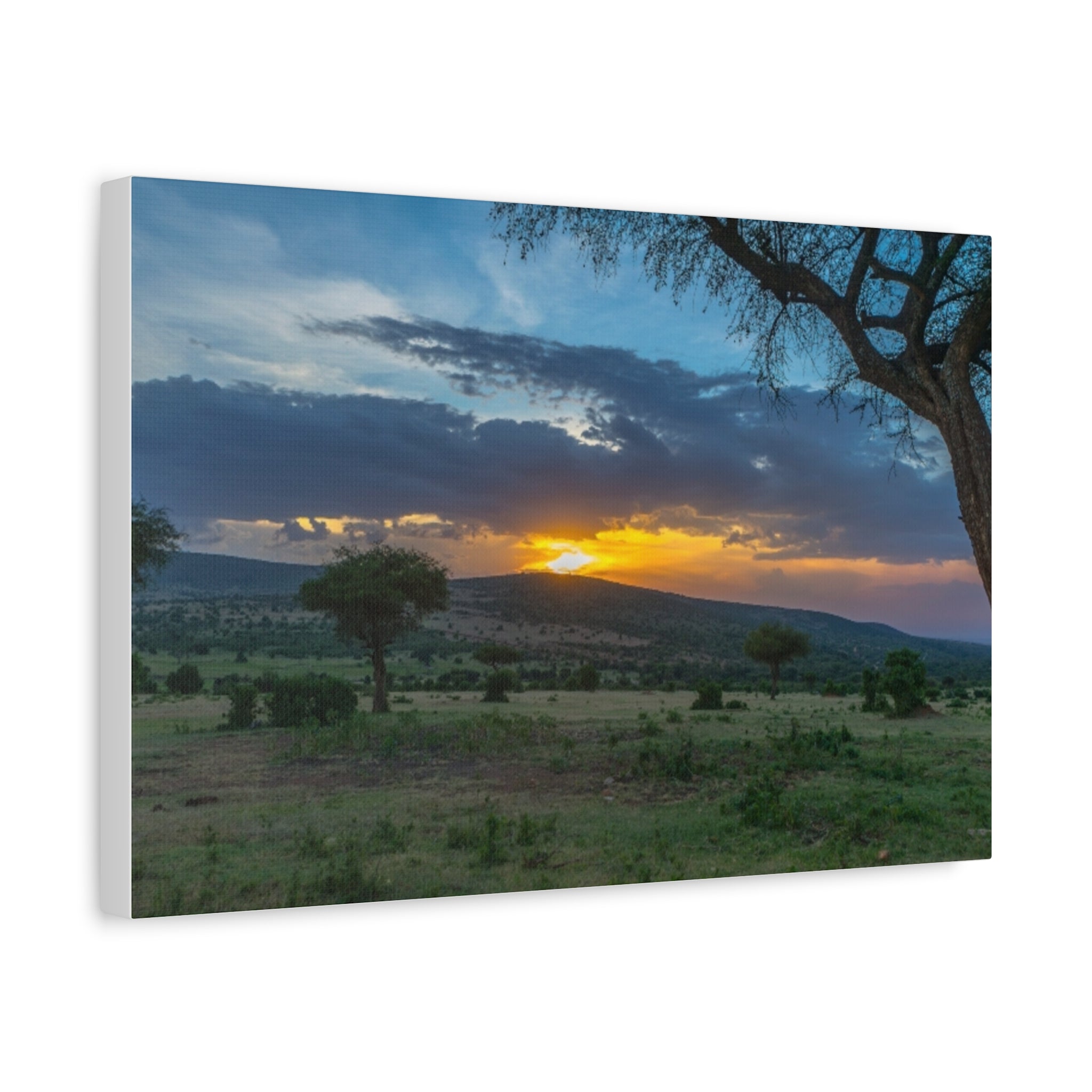 Matte Canvas, Stretched, 1.25"