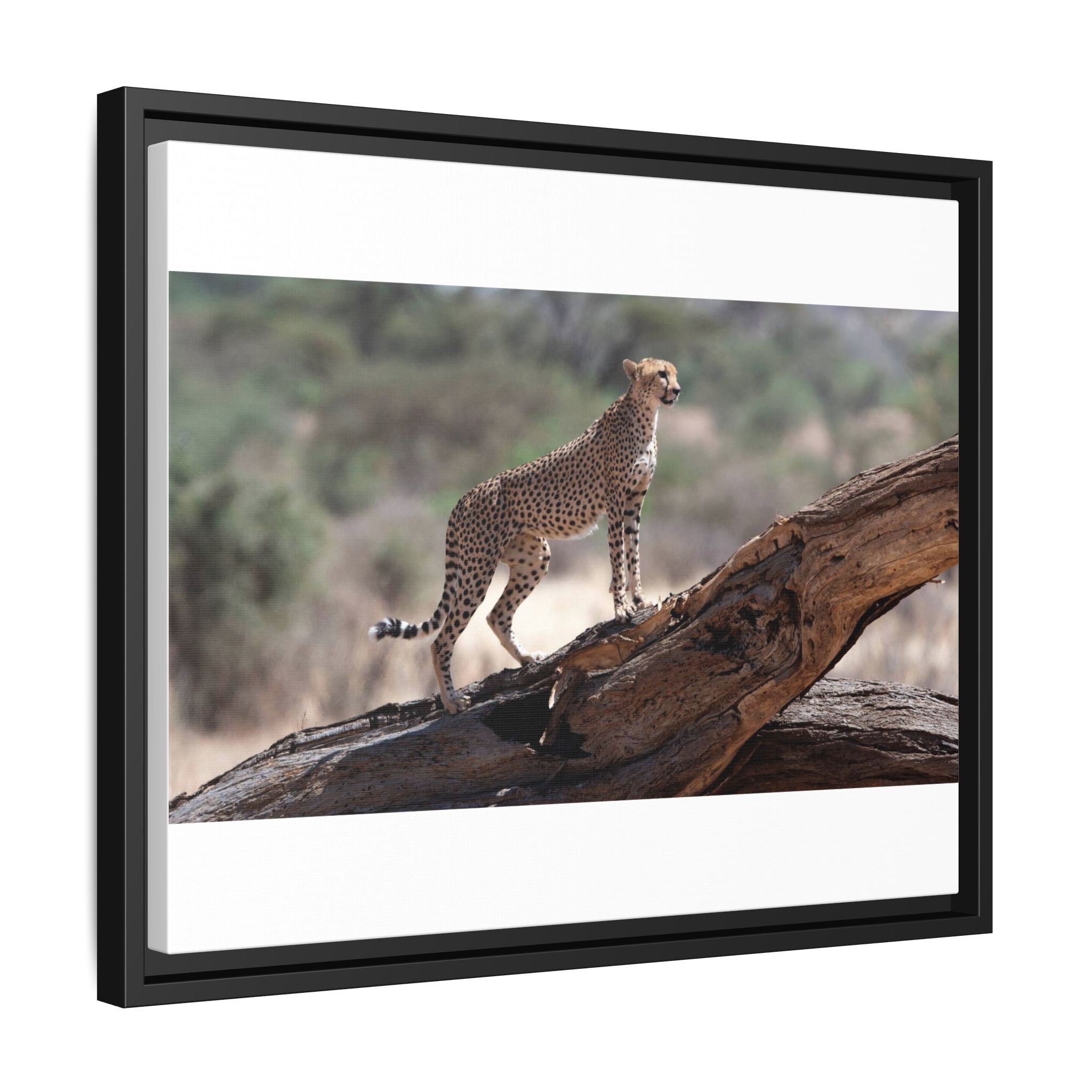 Painting Cheetah Matte Canvas, Framed (Multi-color)
