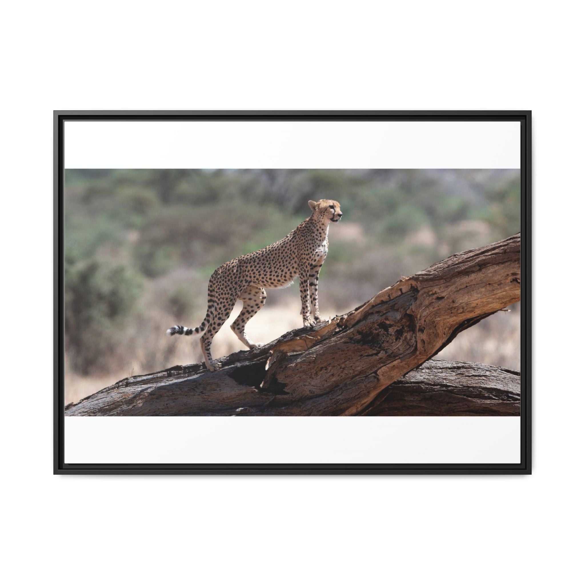 Painting Cheetah Matte Canvas, Framed (Multi-color)