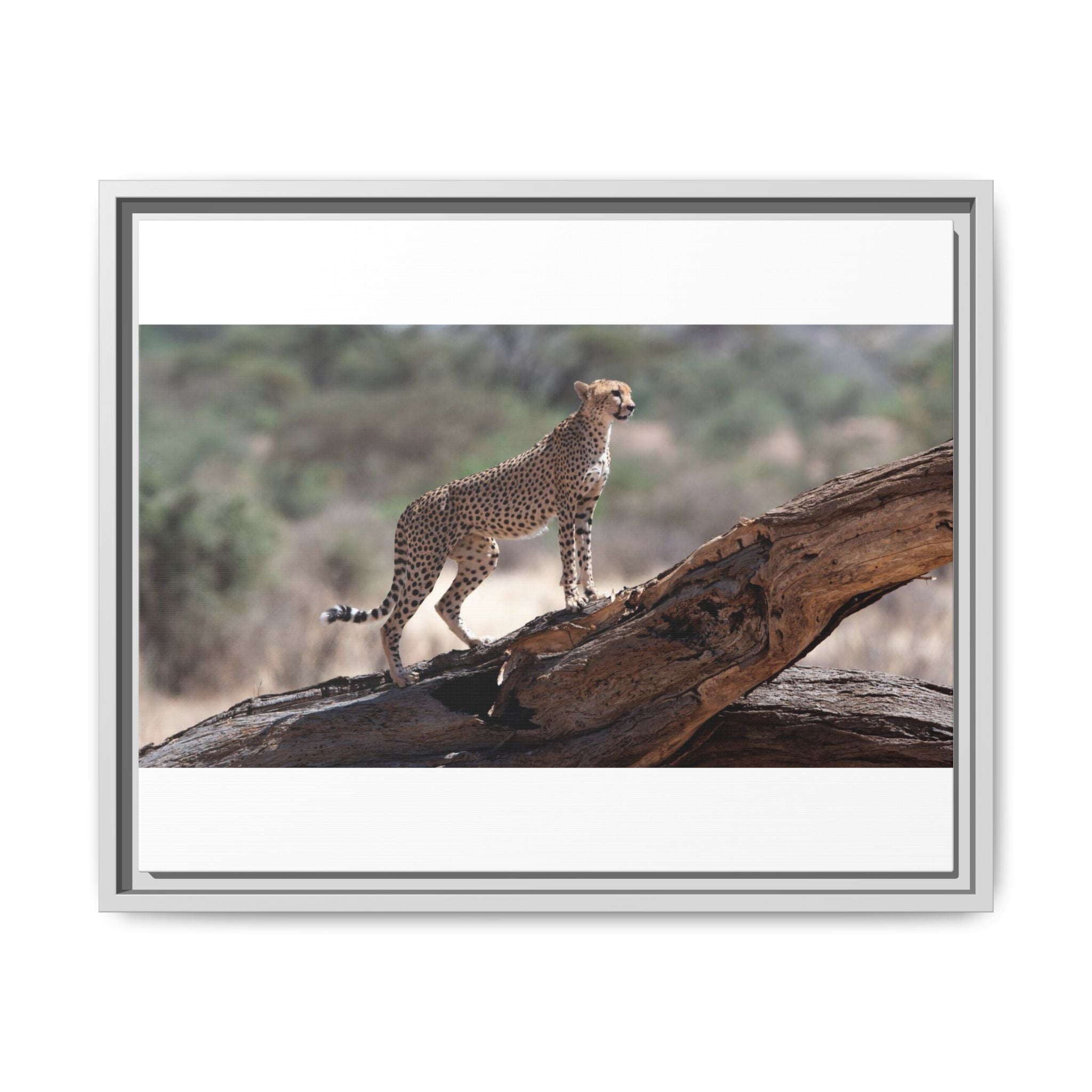 Painting Cheetah Matte Canvas, Framed (Multi-color)